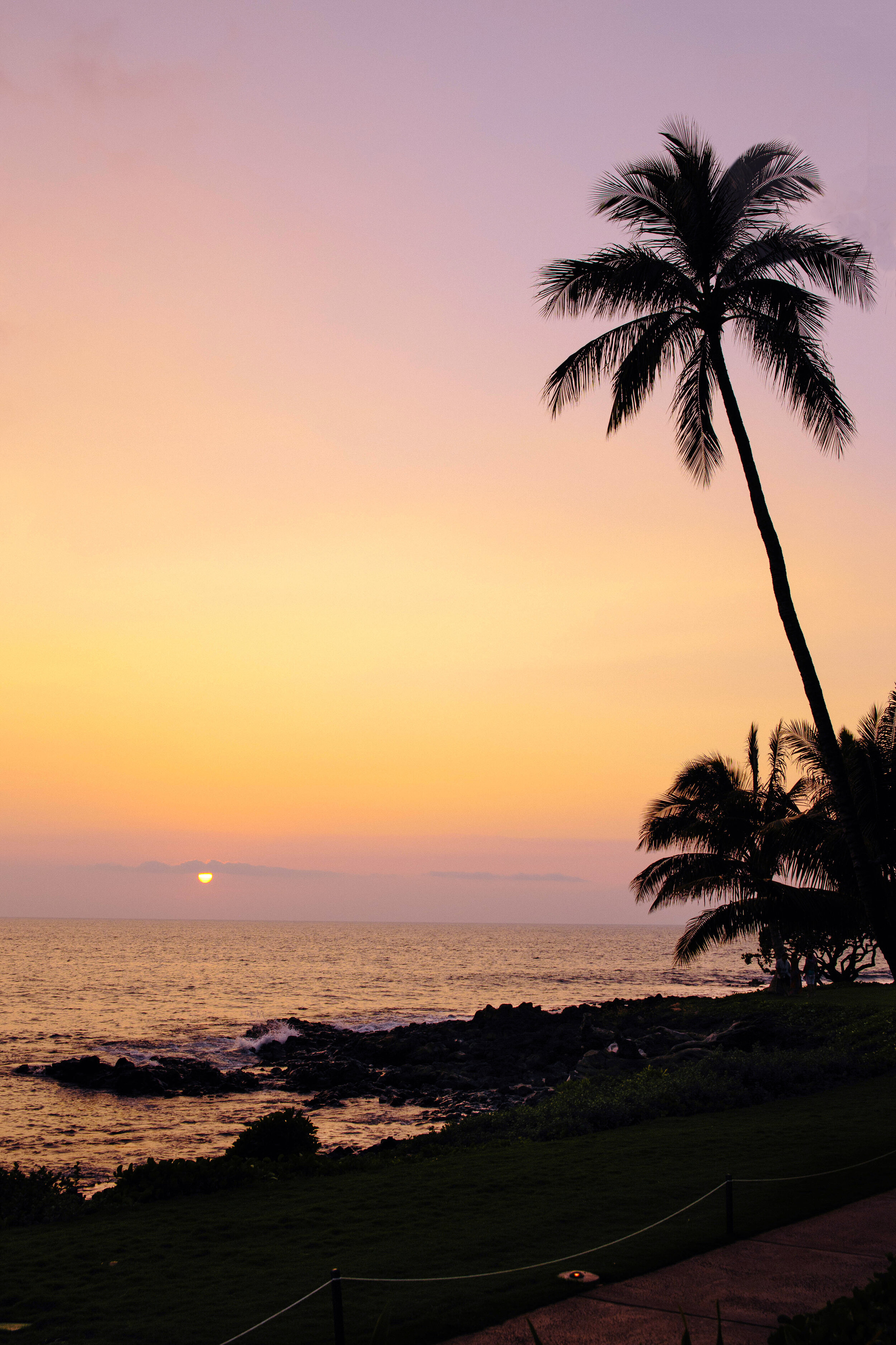 IMG_284567-2 copy2.jpg