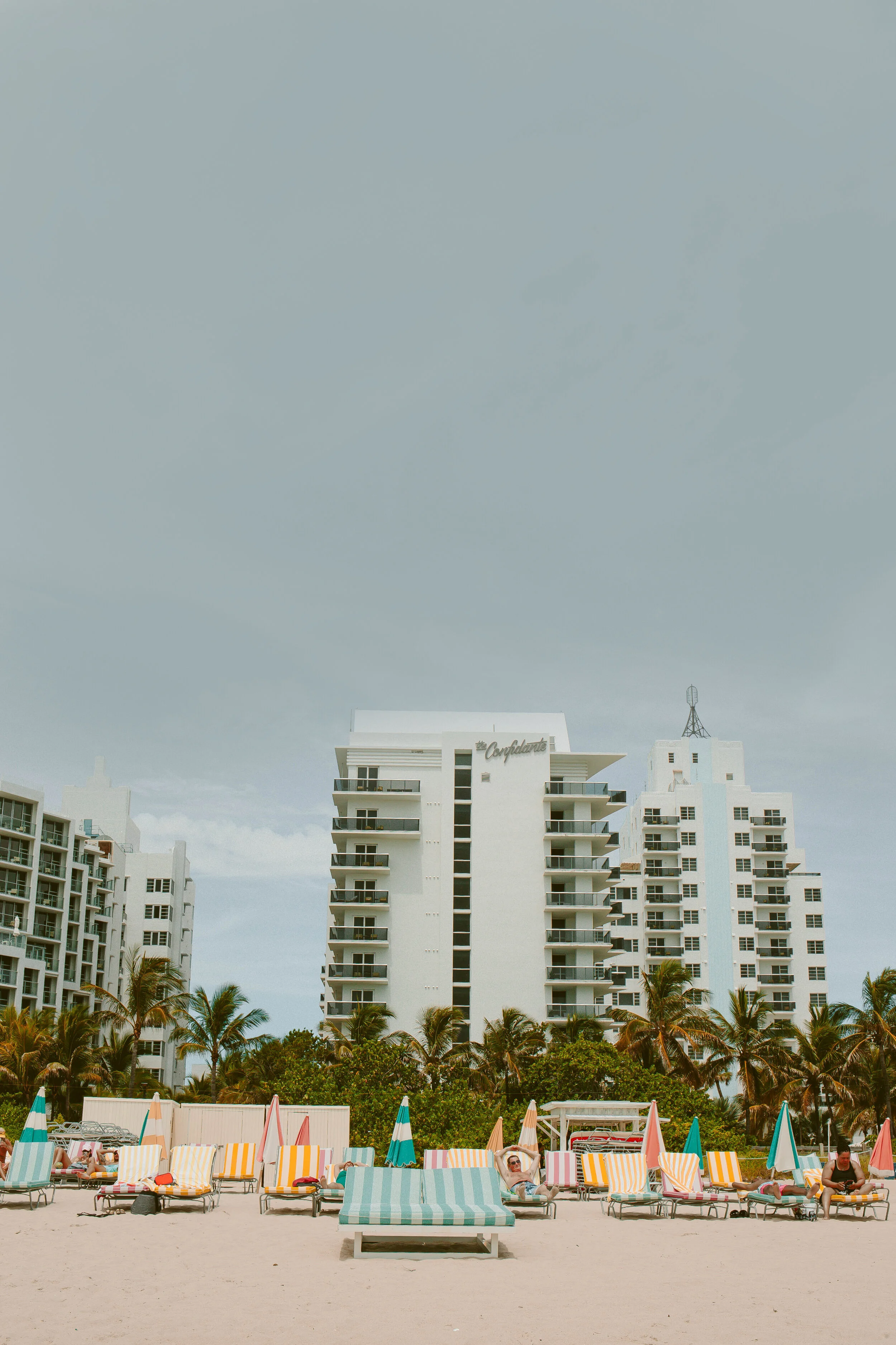 IMG_621233-2 copy.jpg