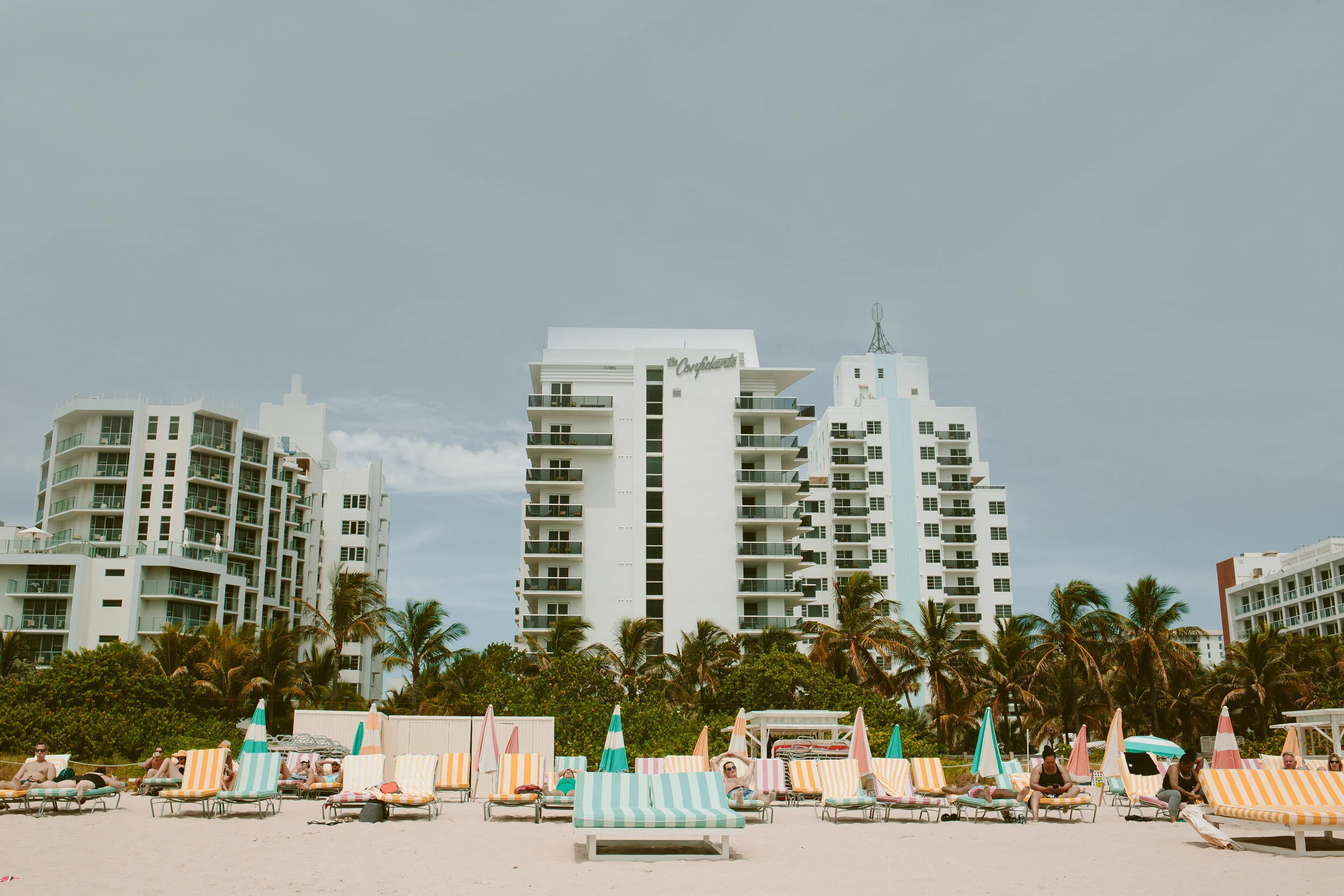 IMG_6211 (2) copy.jpg