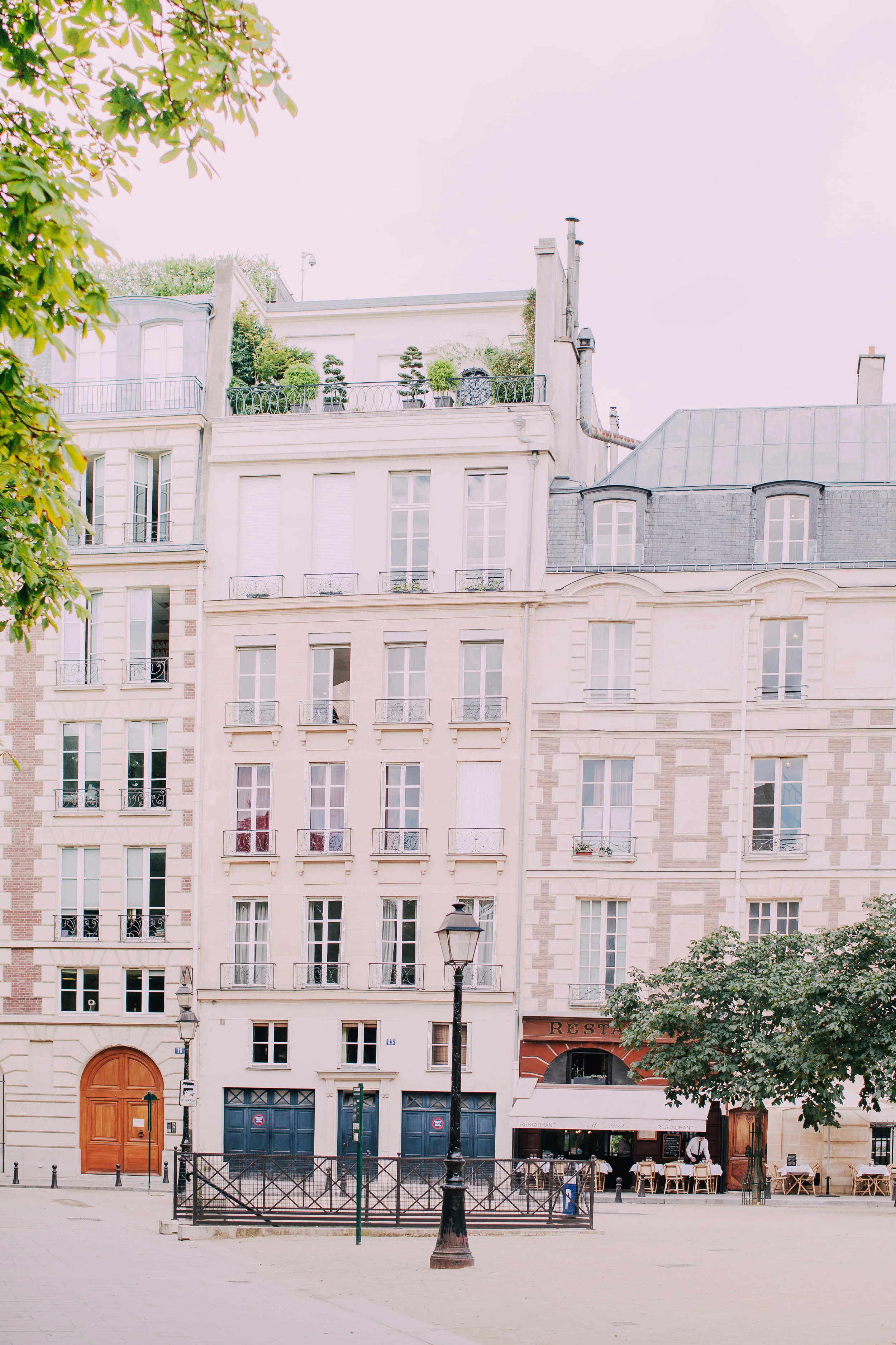 IMG_07843453 copy.jpg