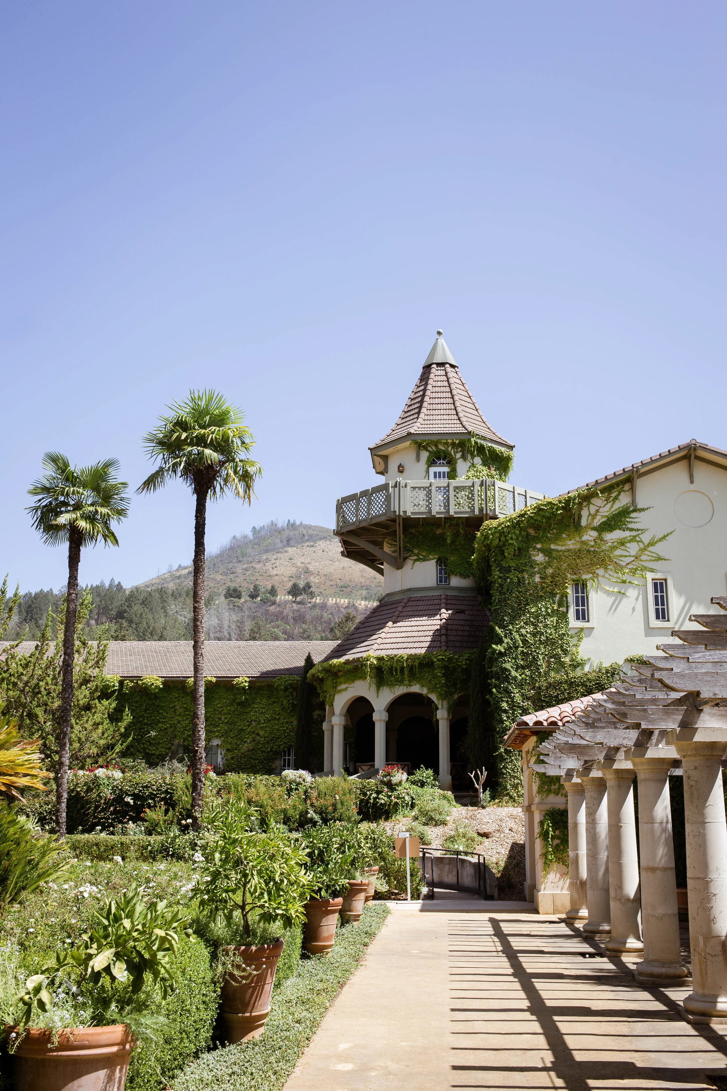 Chateau St. Jean