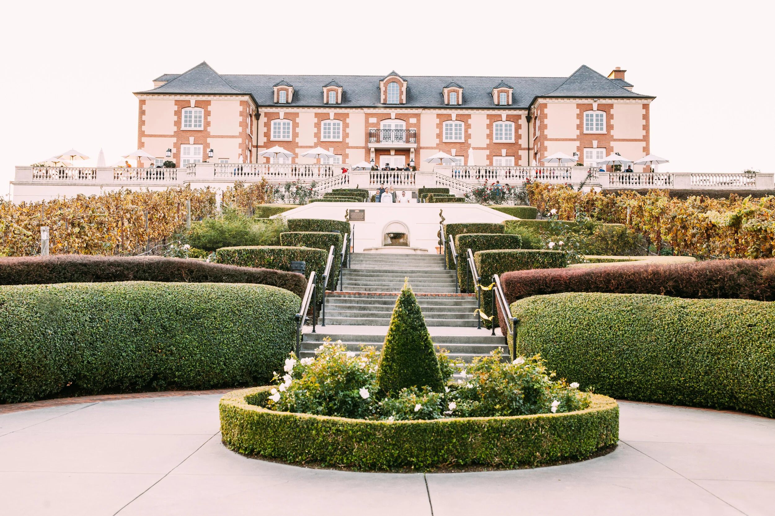 Domaine Carneros