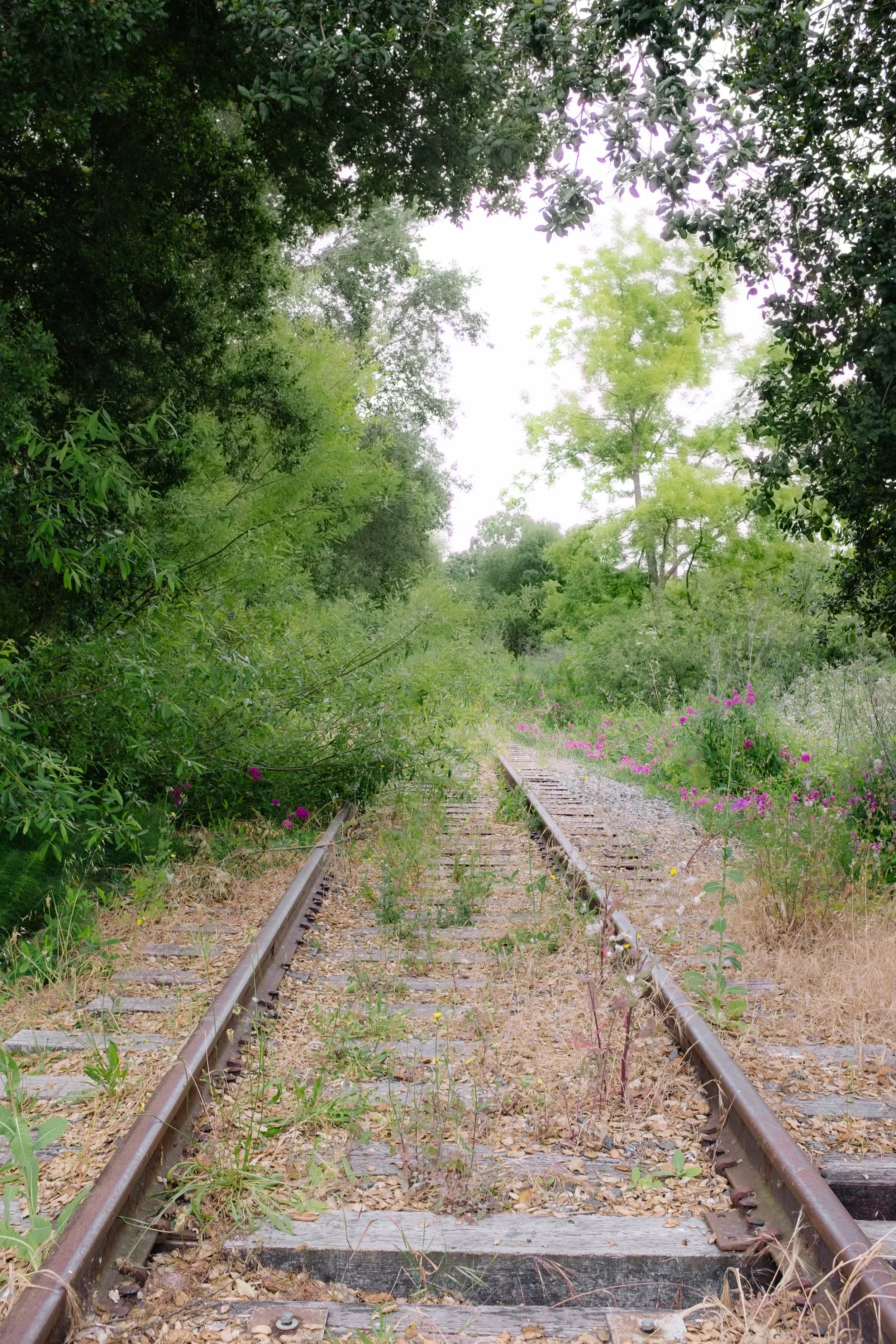 DSCF1111.jpg