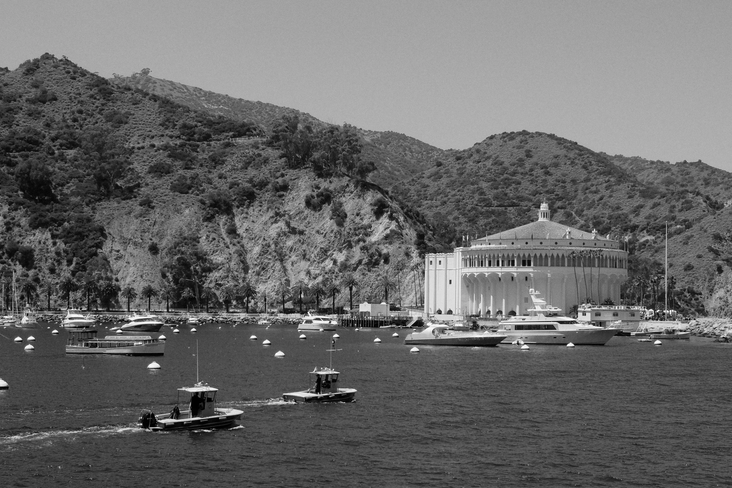 DSCF2414.jpg