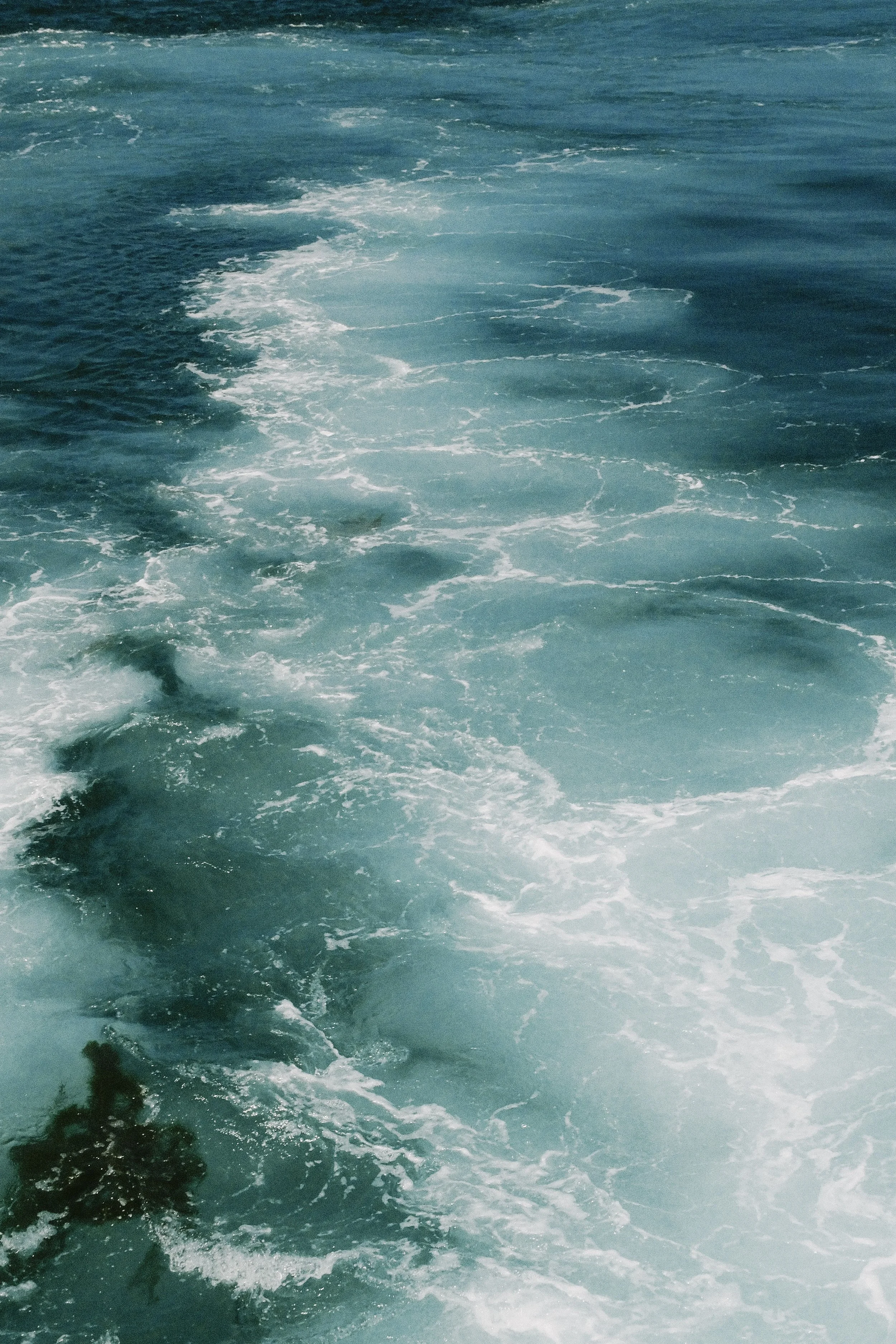 DSCF2418-2.jpg