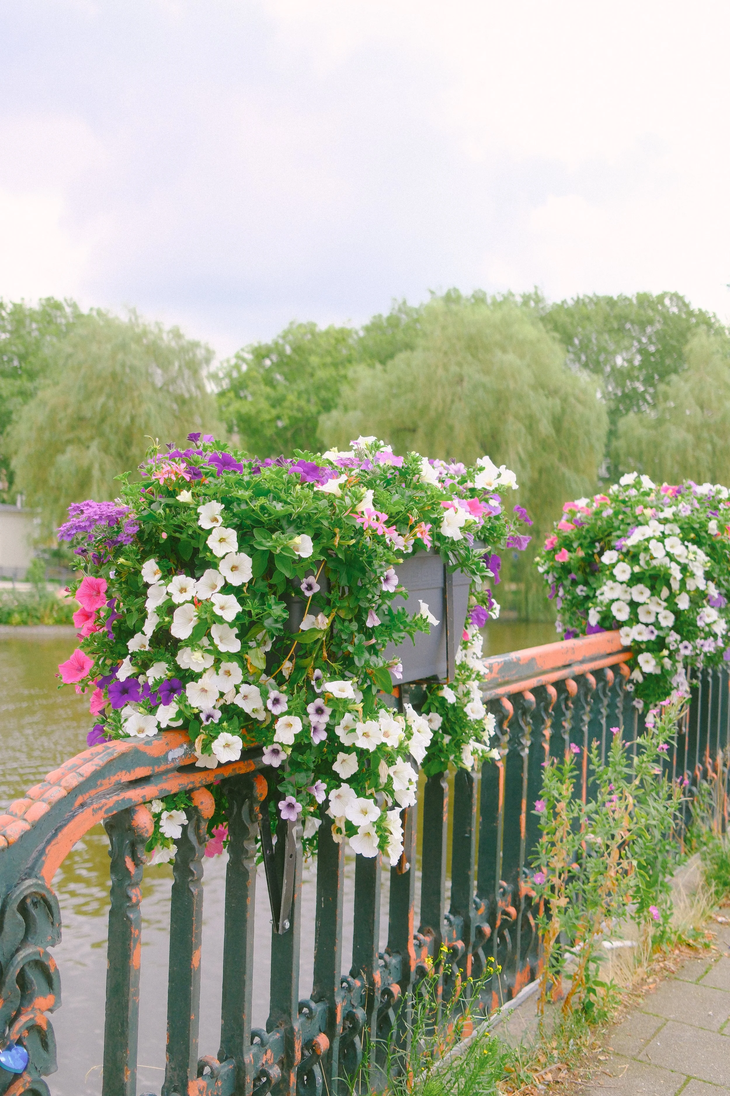 DSCF3068.jpg