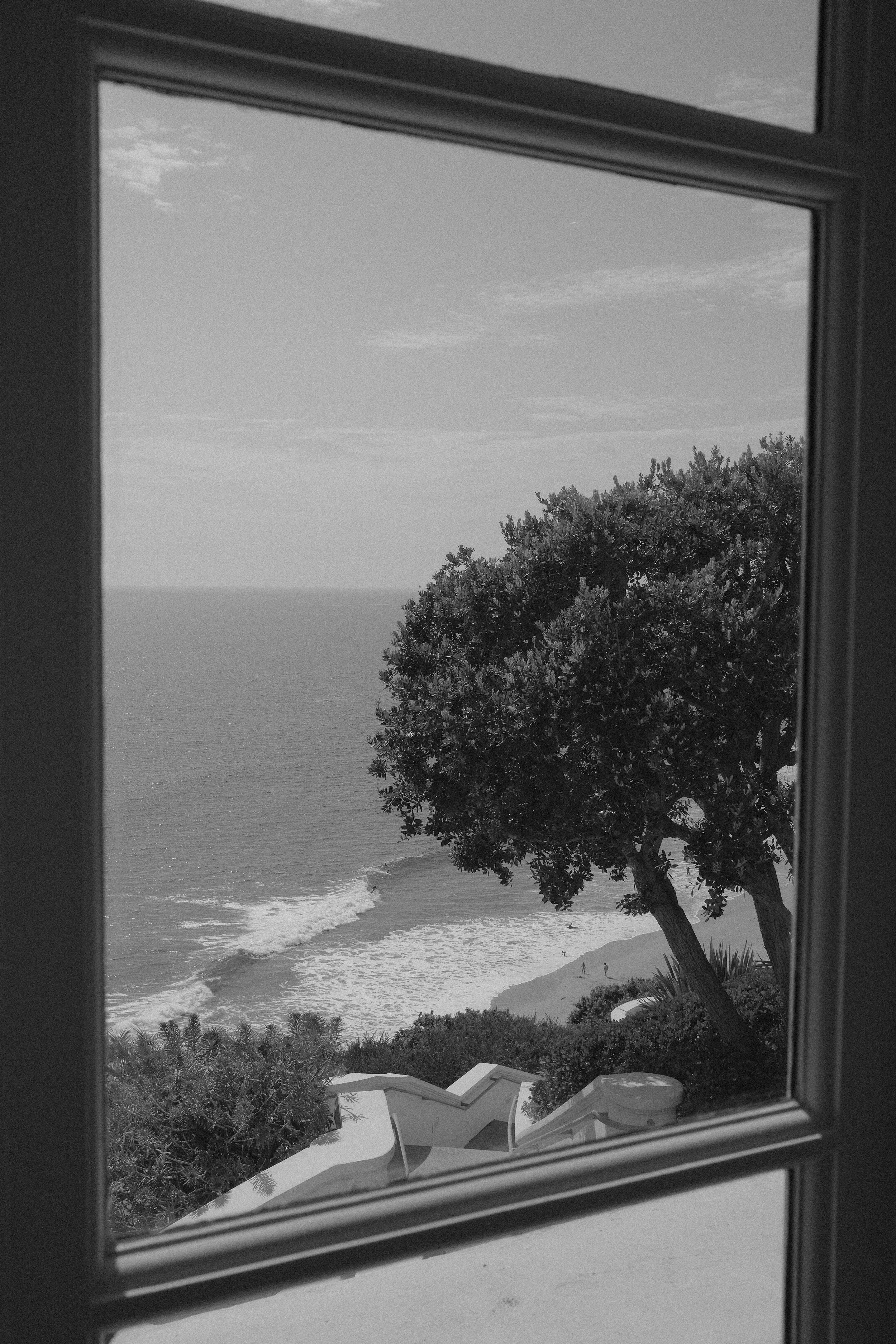 DSCF6488.jpg