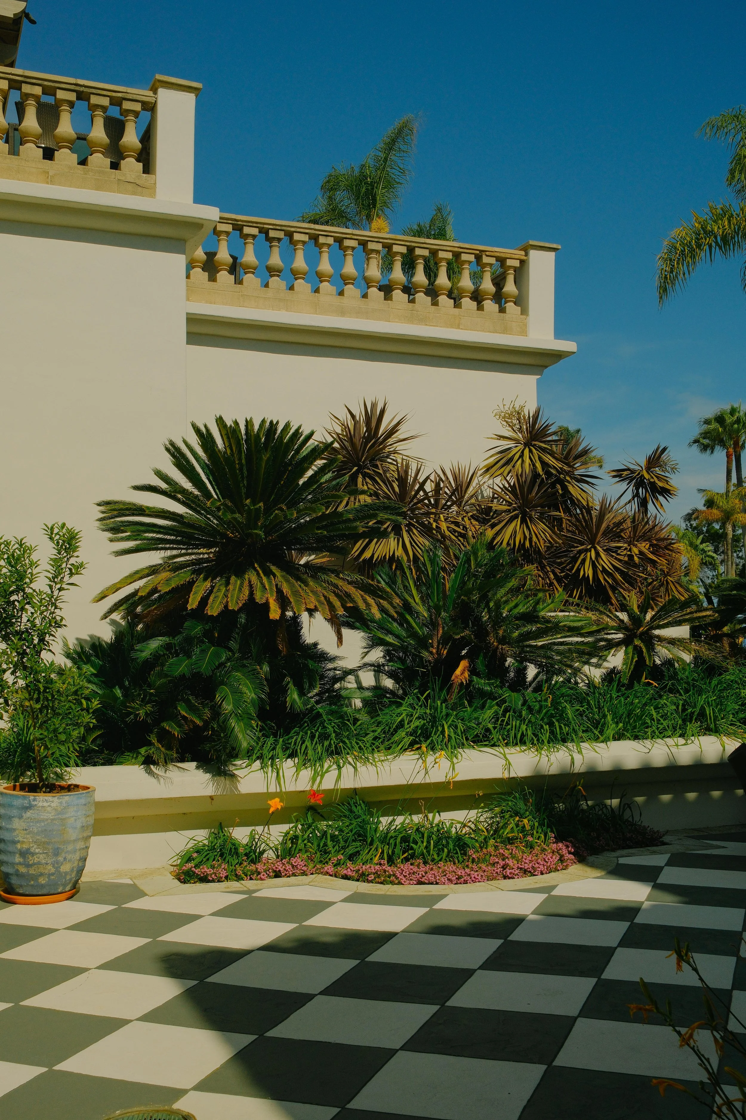 DSCF6498.jpg