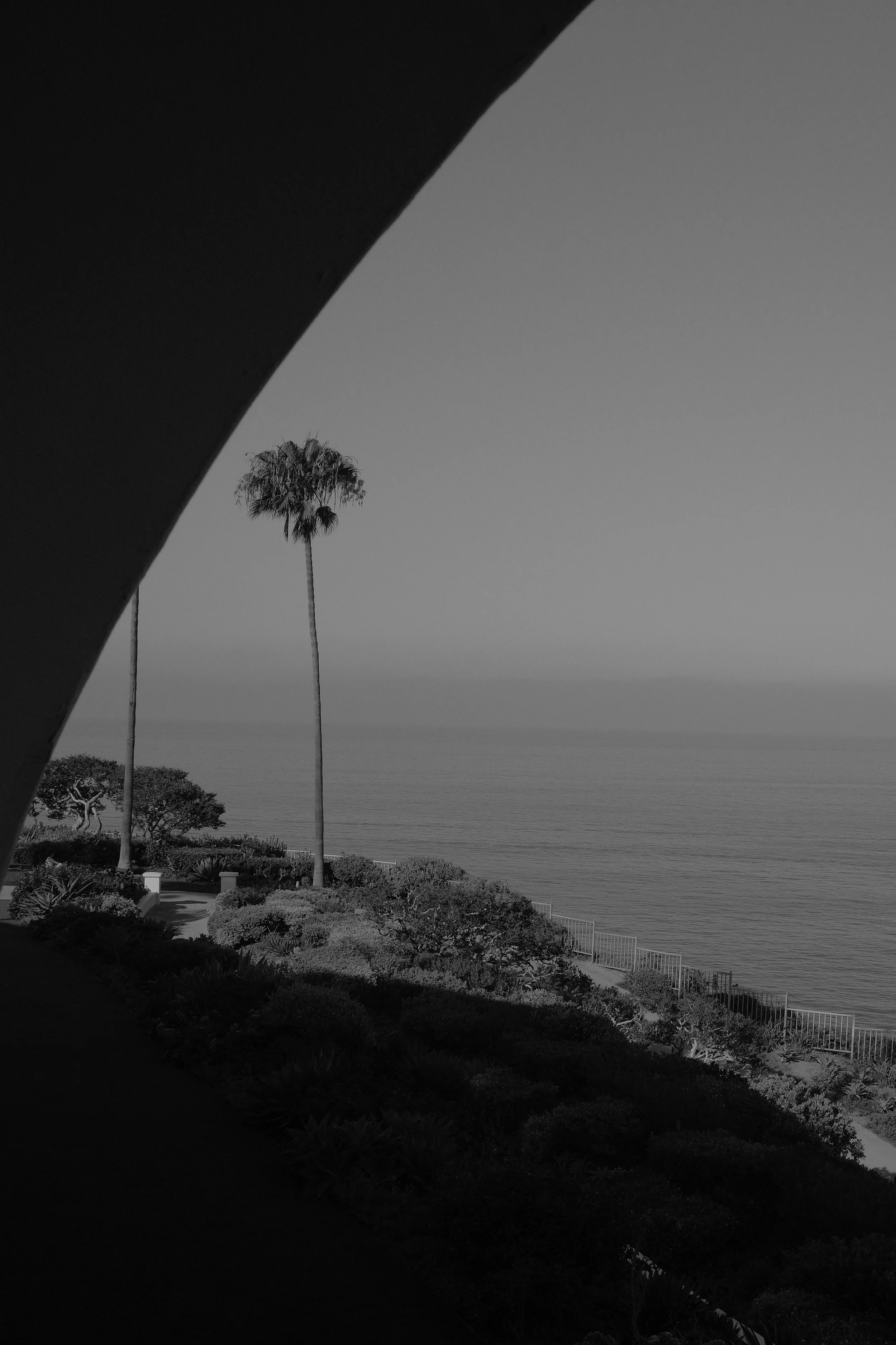 DSCF6514.jpg
