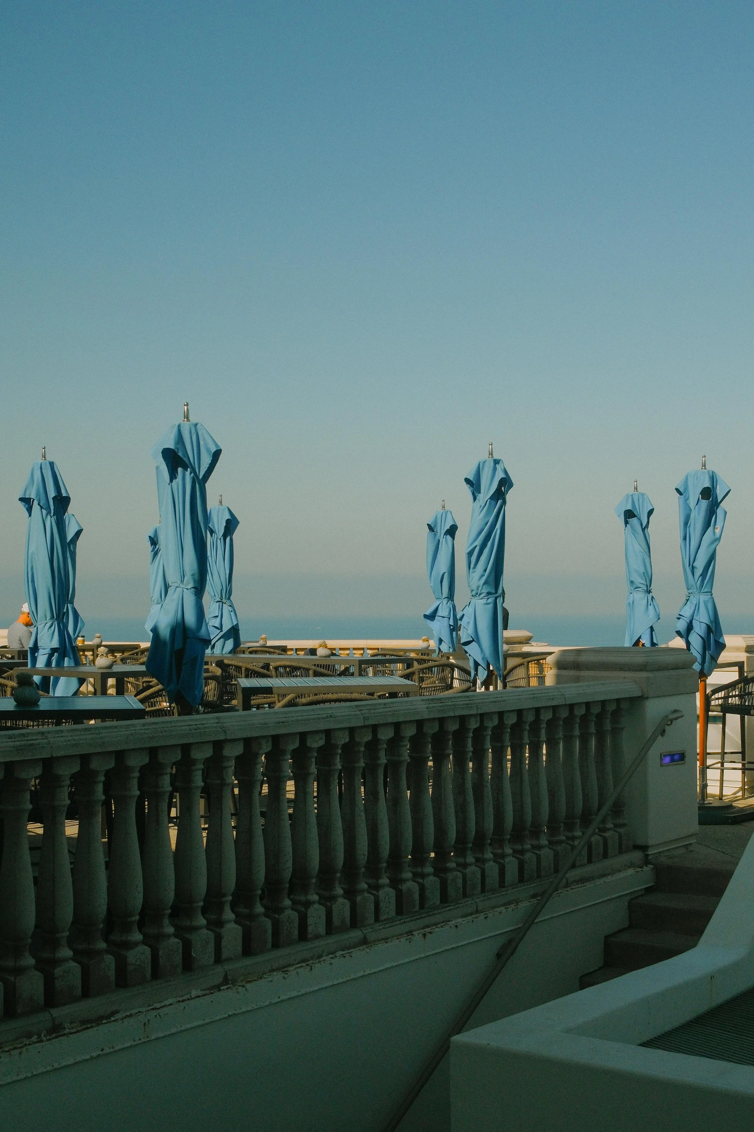 DSCF6520.jpg