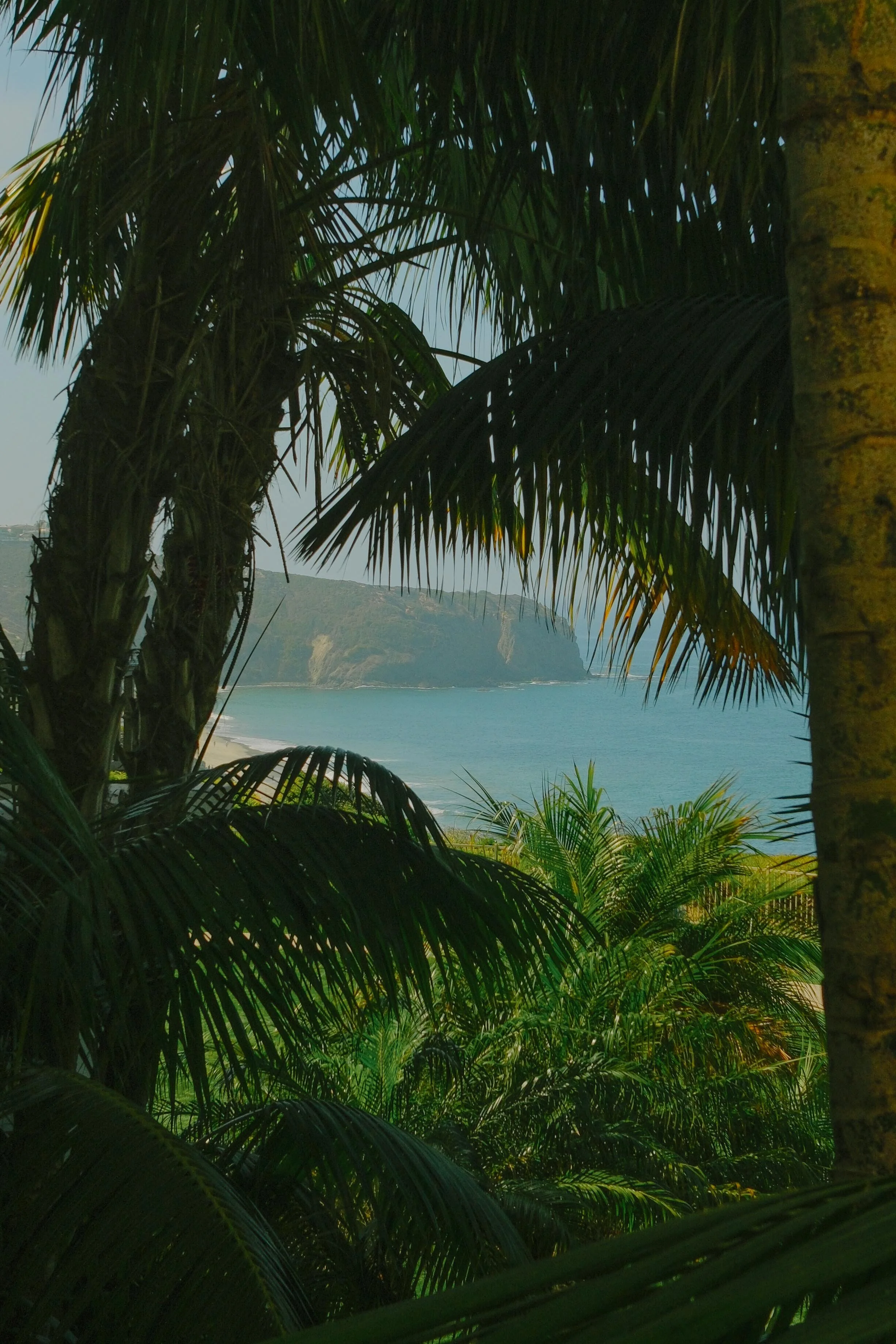 DSCF6524.jpg