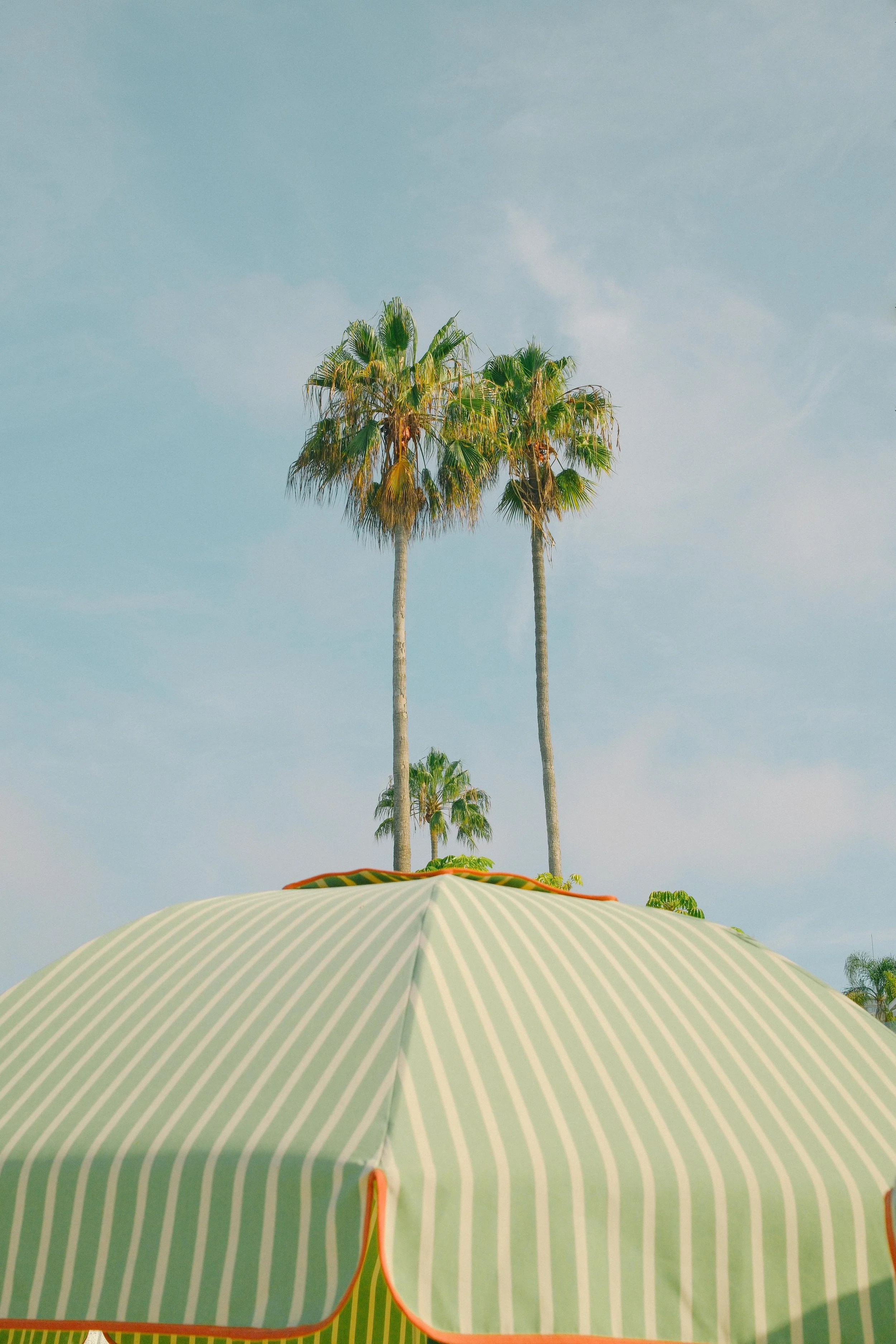 DSCF6837.jpg