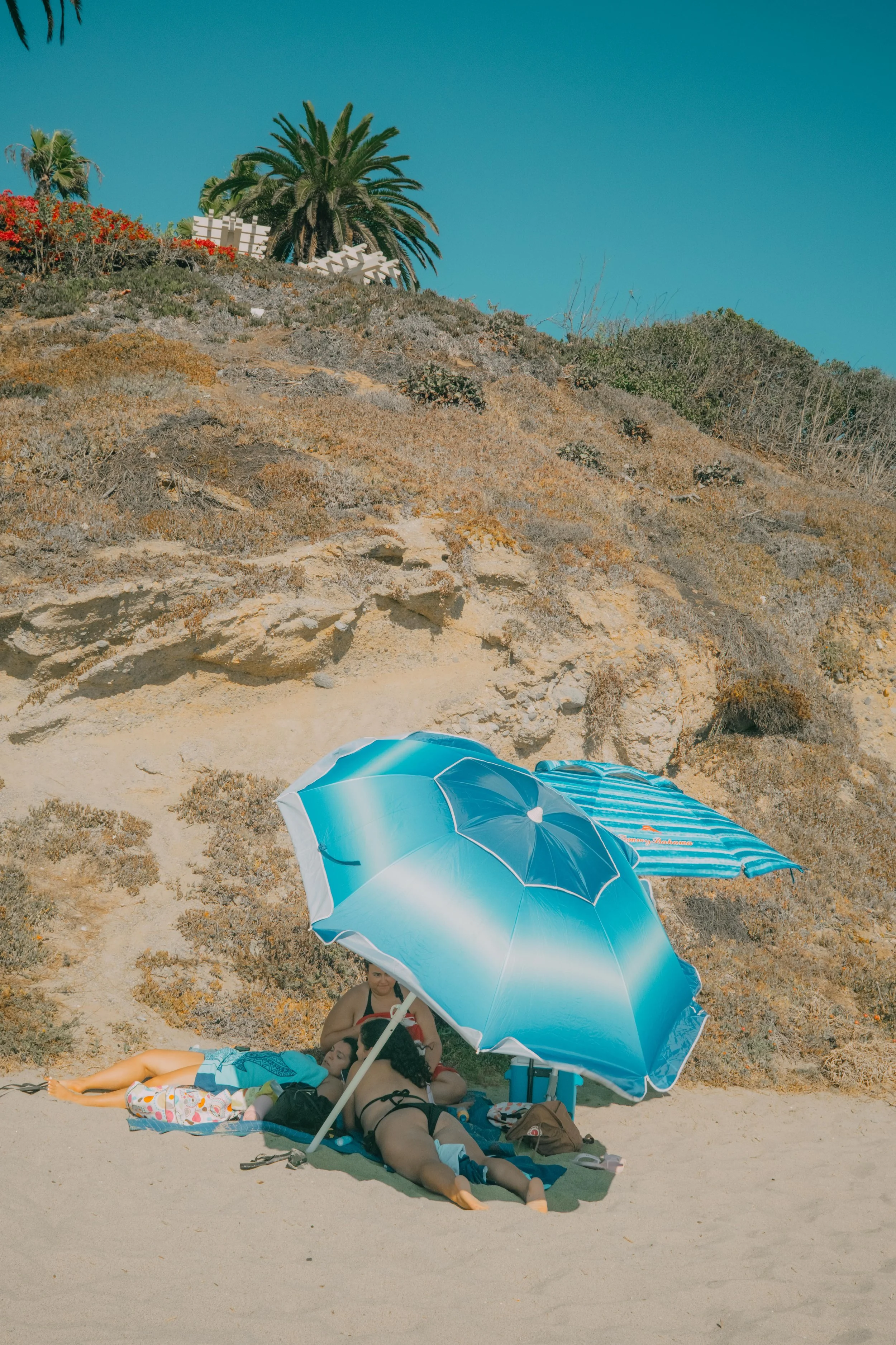 DSCF6800.jpg