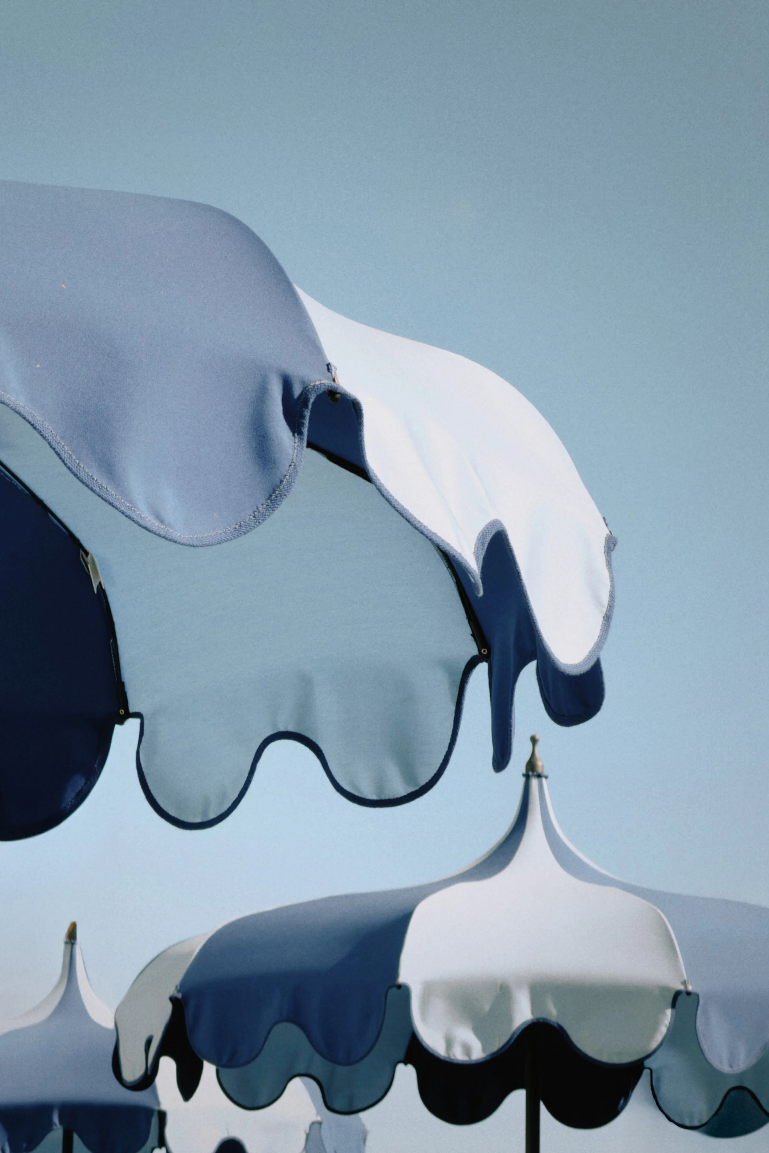 Tezza-8806 copy 2.jpg