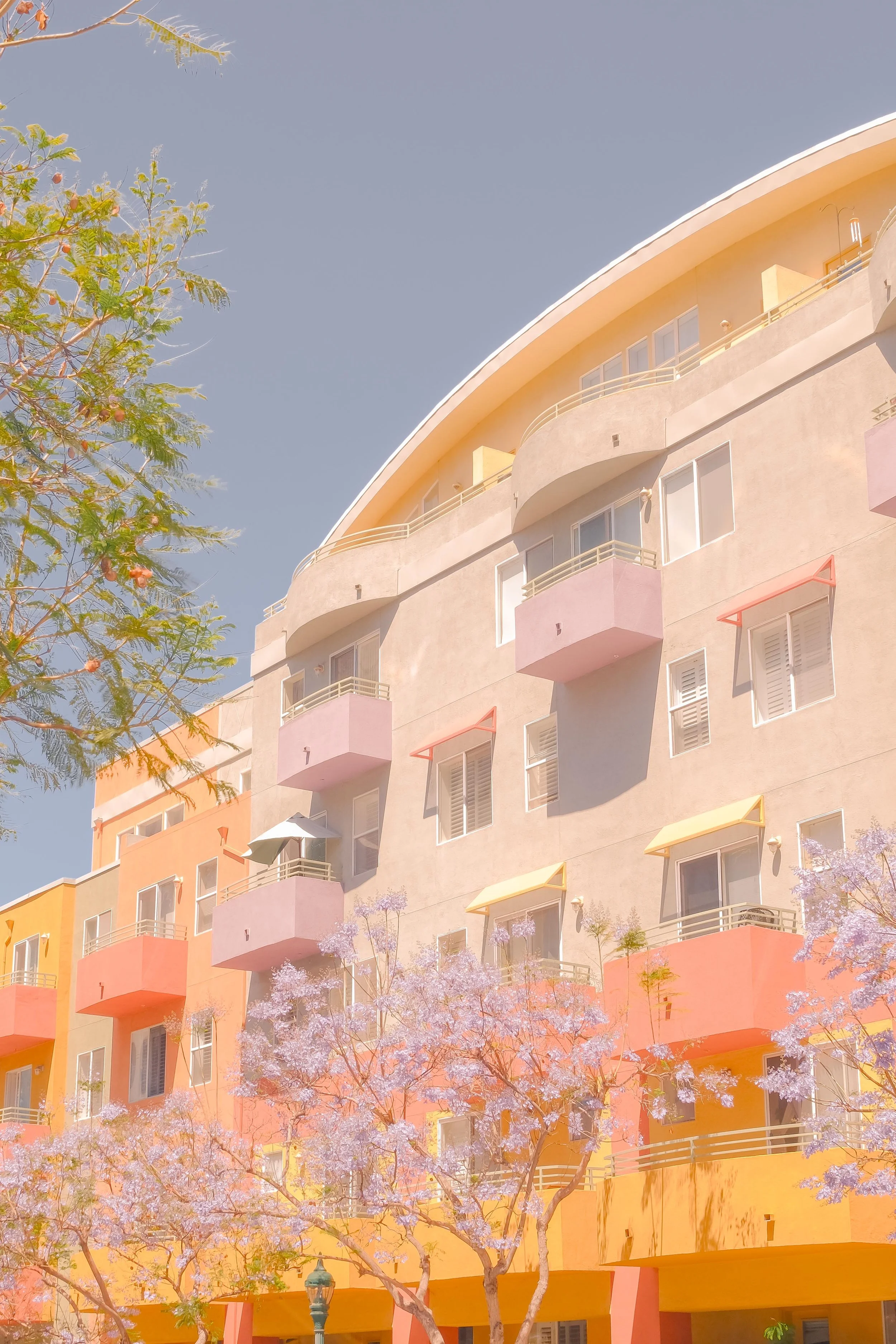 DSCF5216.jpg
