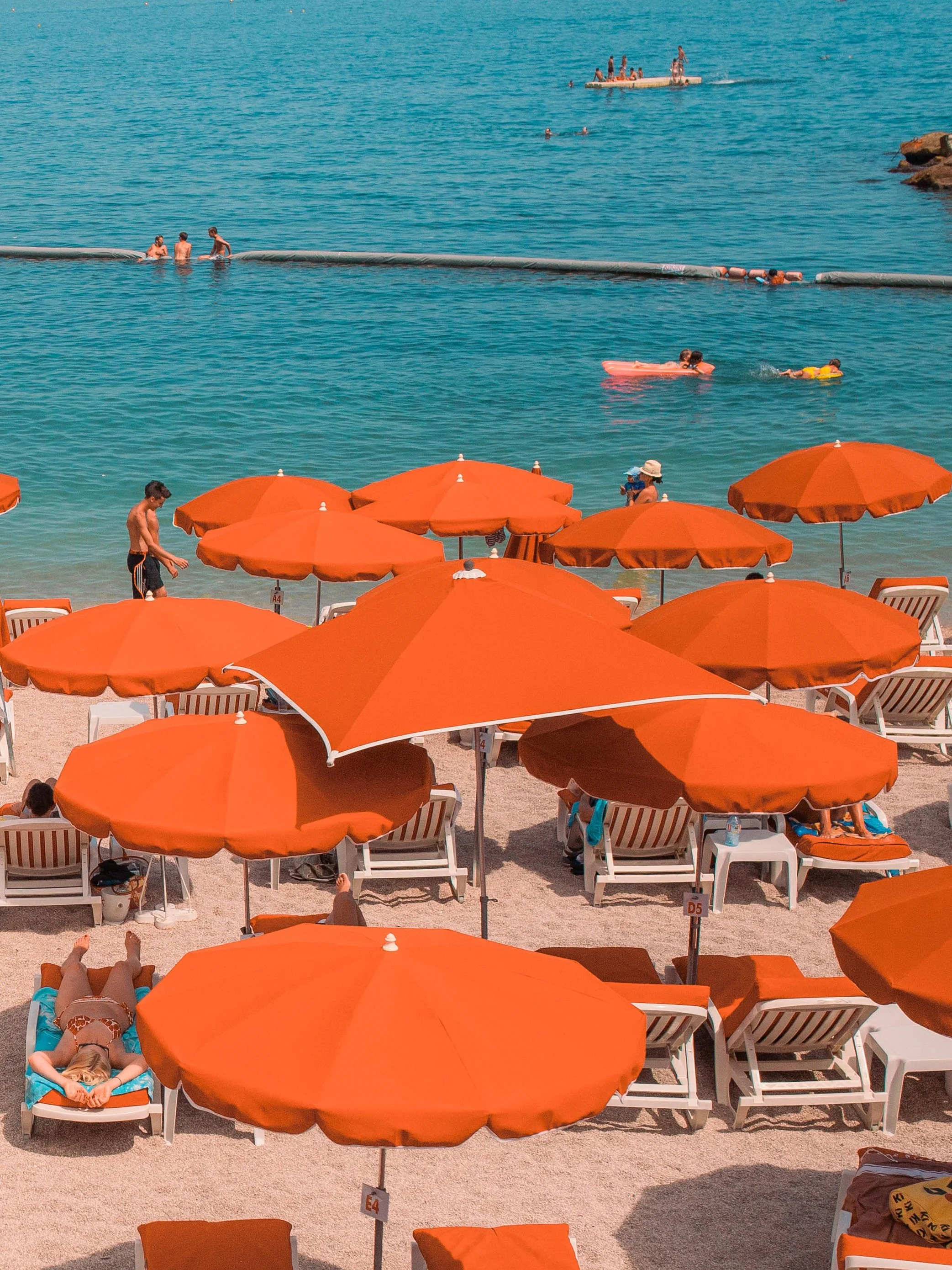 IMG_1397srwe3-4 copy.jpg