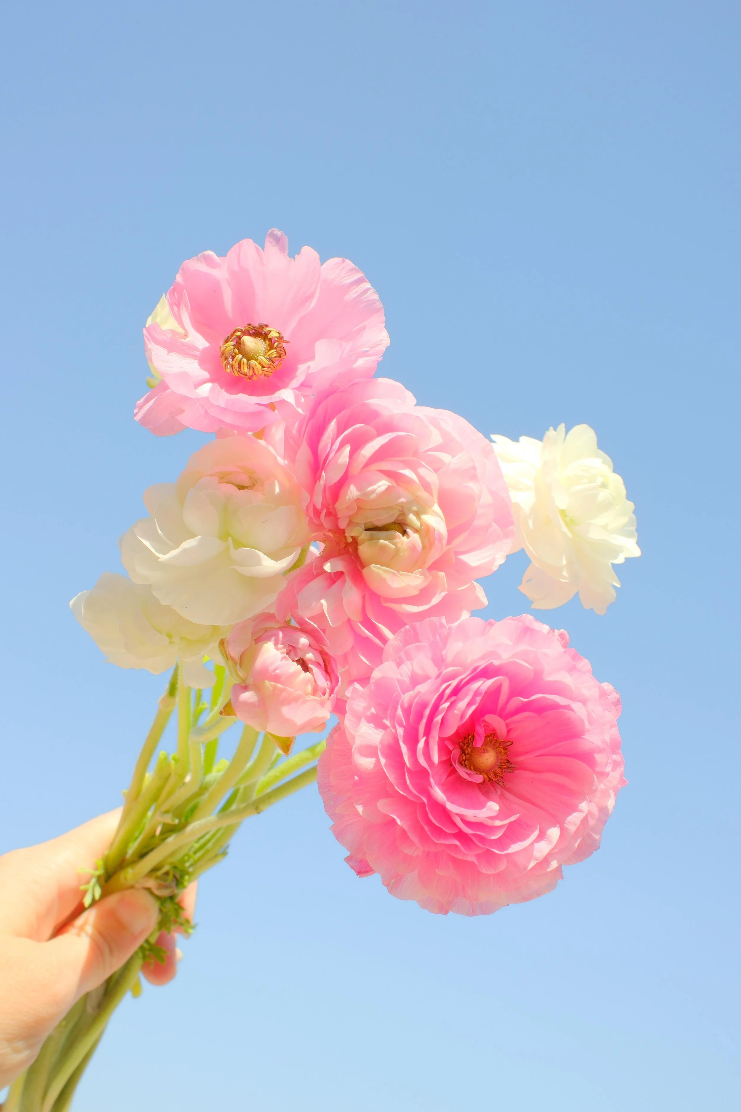 DSCF5328.jpg