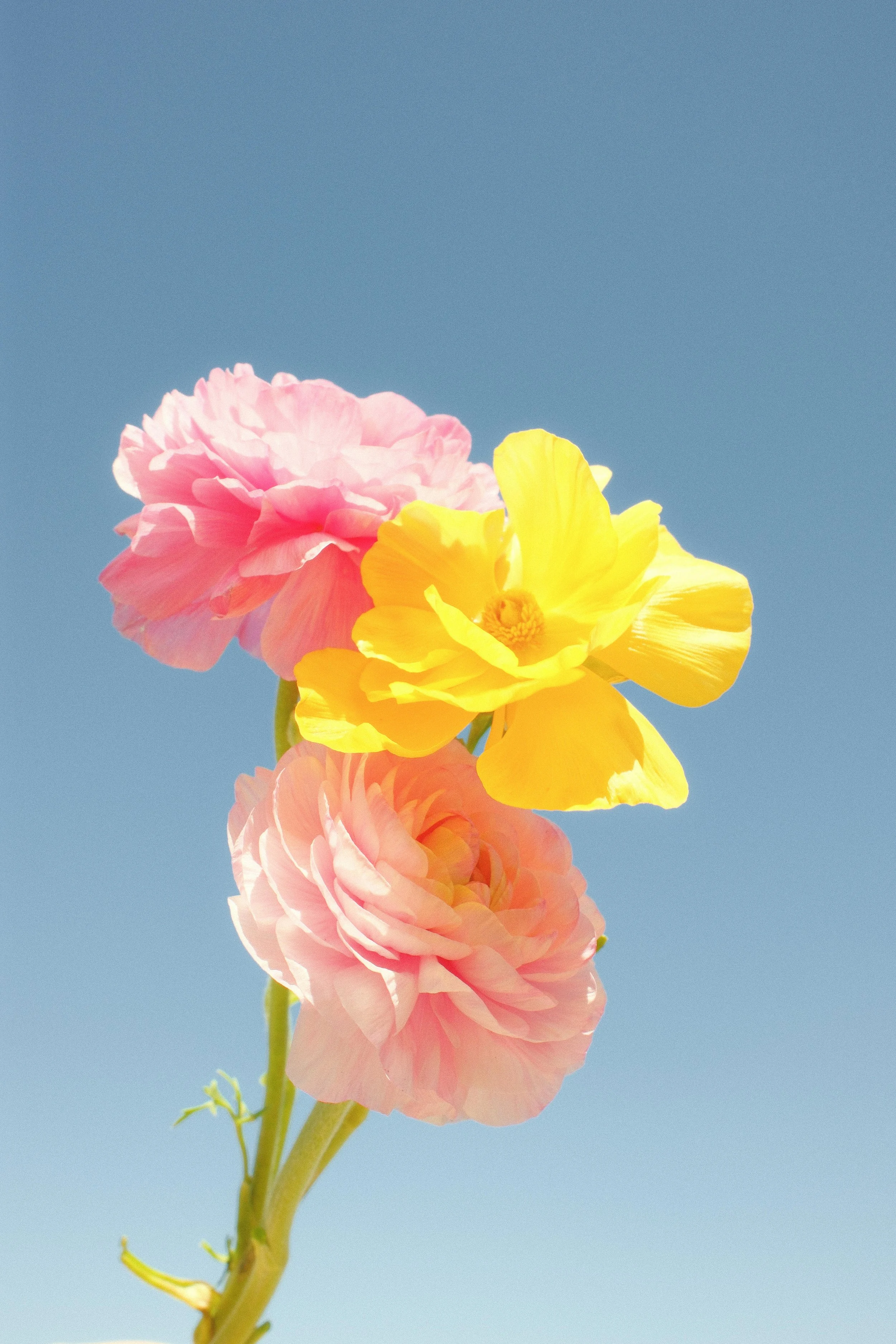 DSCF5299.jpg
