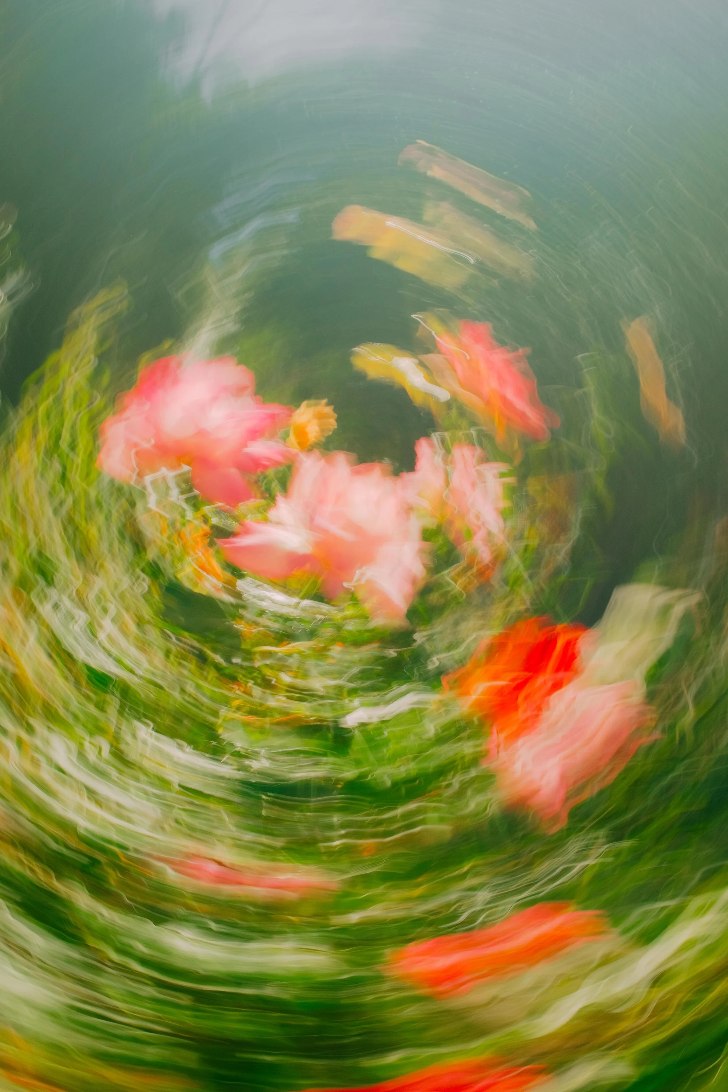 DSCF6931-2.jpg