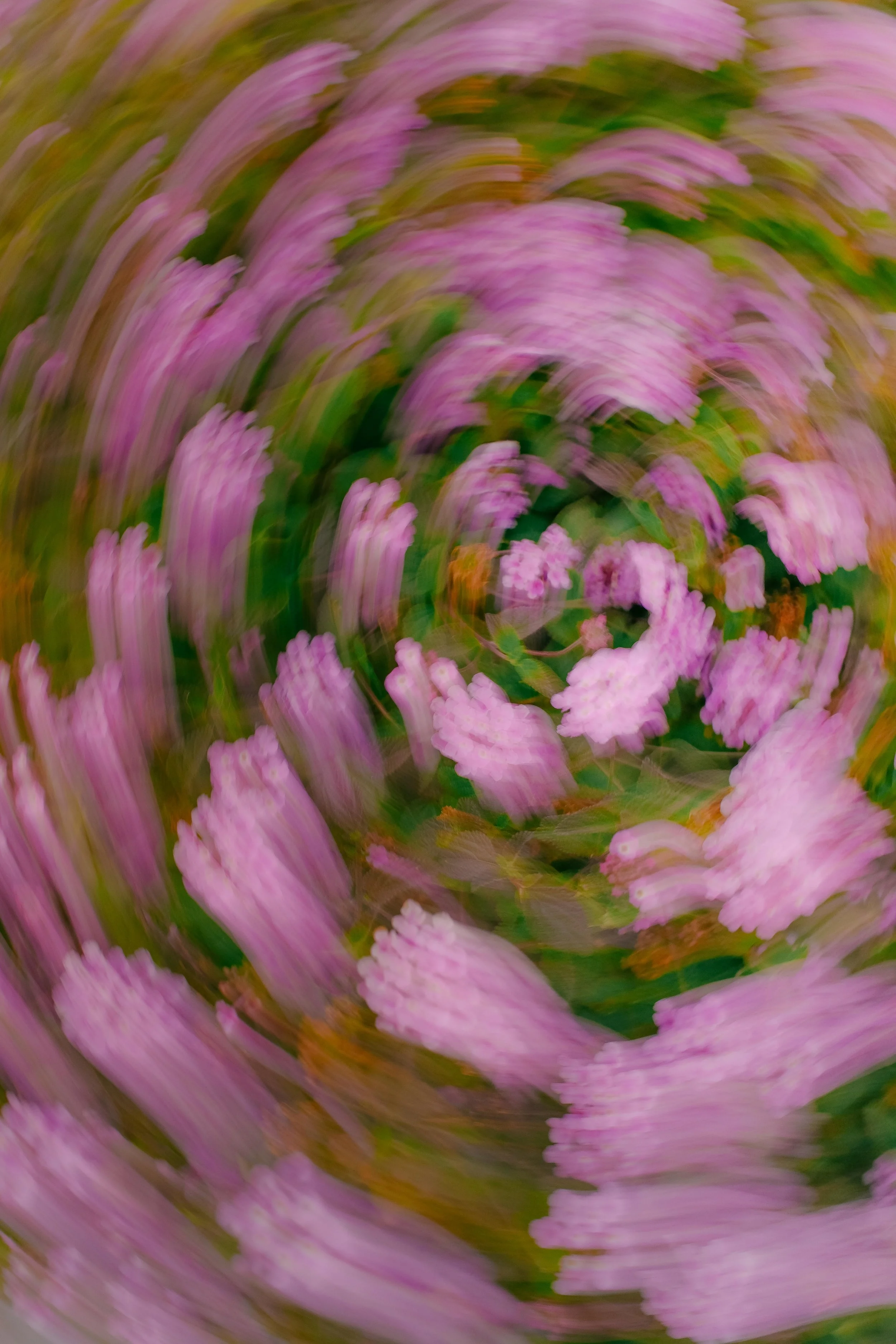 DSCF5563.jpg