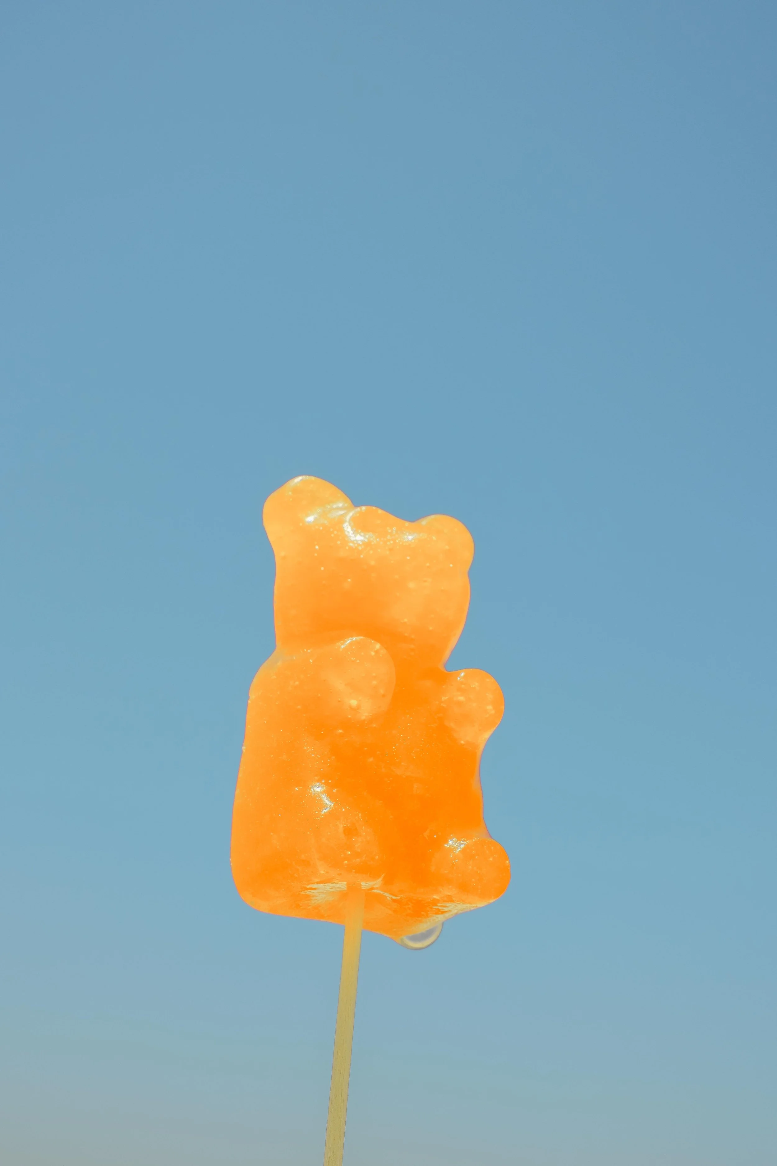 DSCF5810-5.jpg
