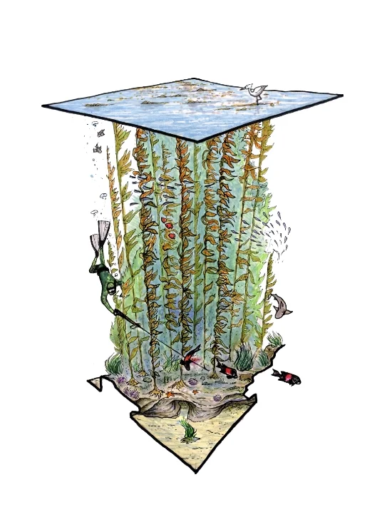 Kelp Warden