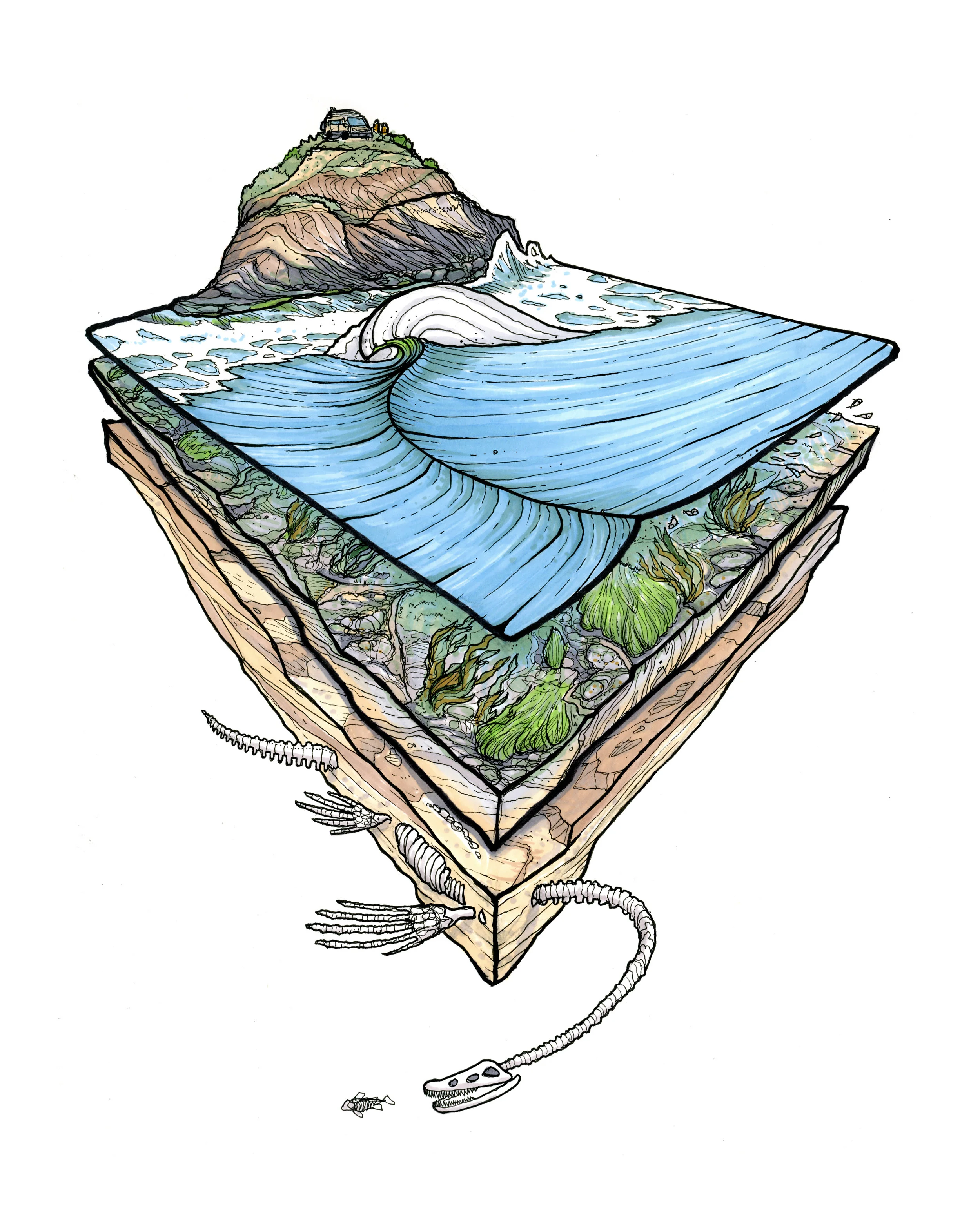 Fossil Point