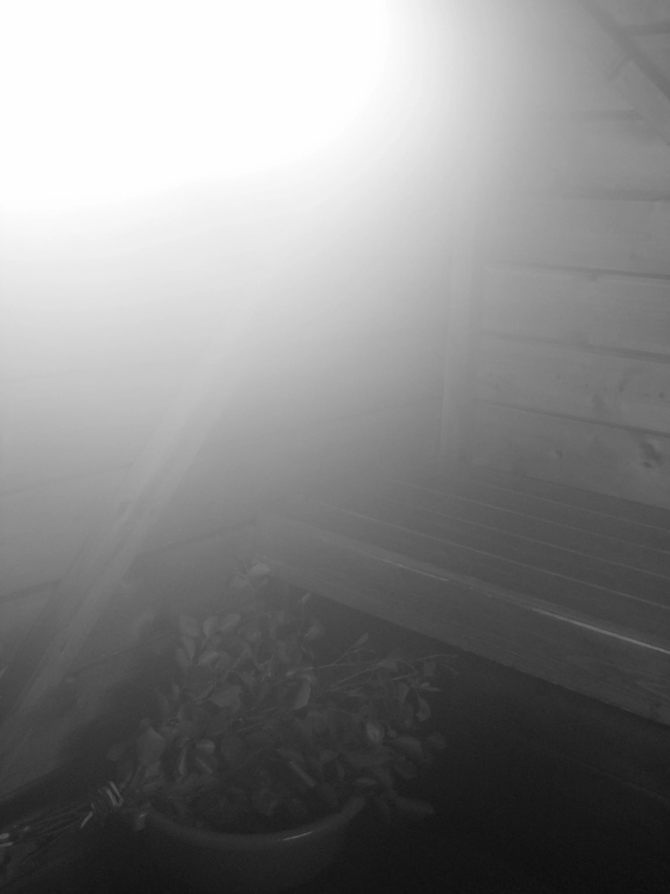 Löyly = the heat of the steam from the water poured on the stones Vihta / Vasta = a bath whisk Raukeus = a state followed by the relaxation in the sauna