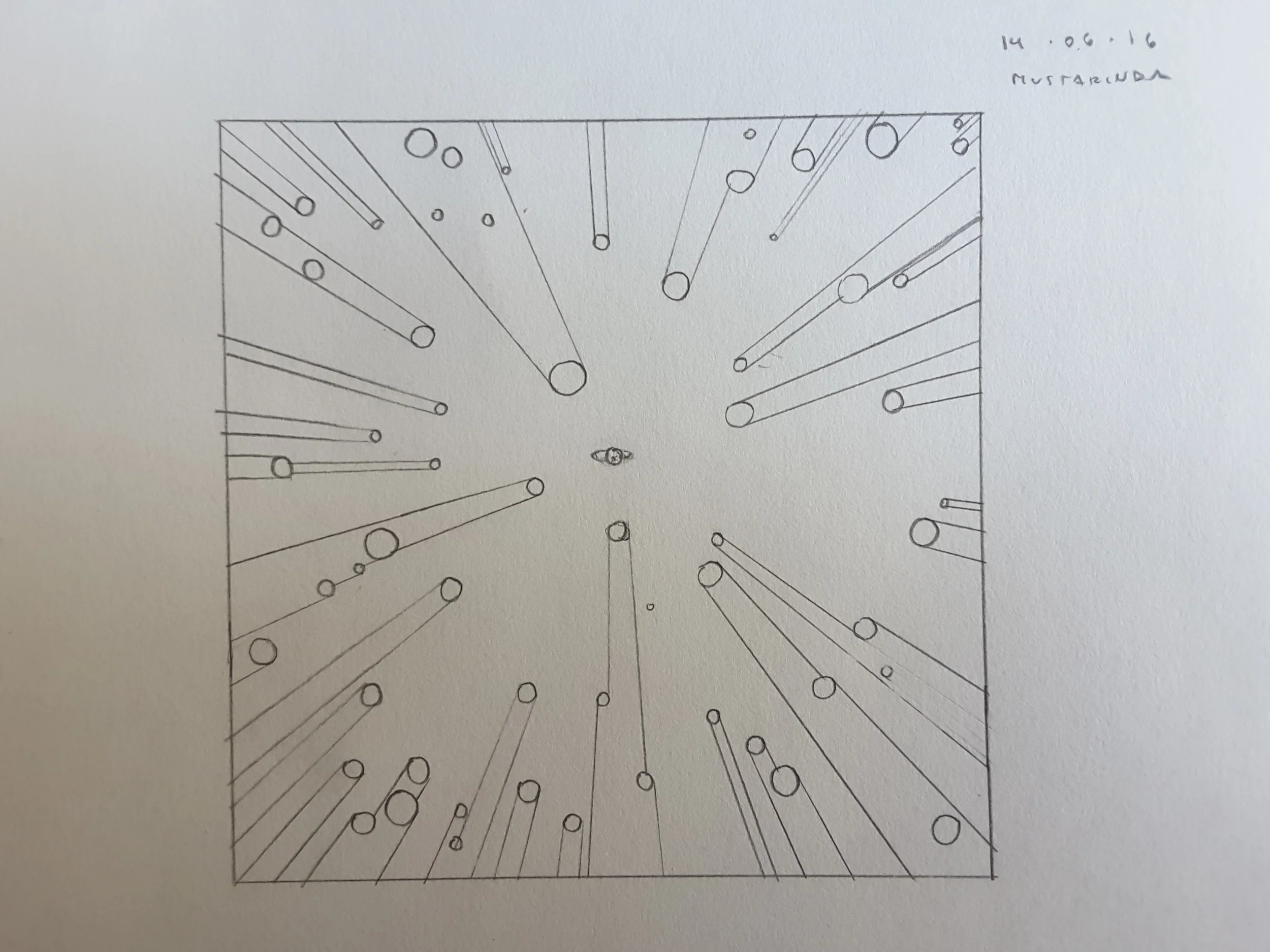 From the note book: the visual space of the forest, from above.
