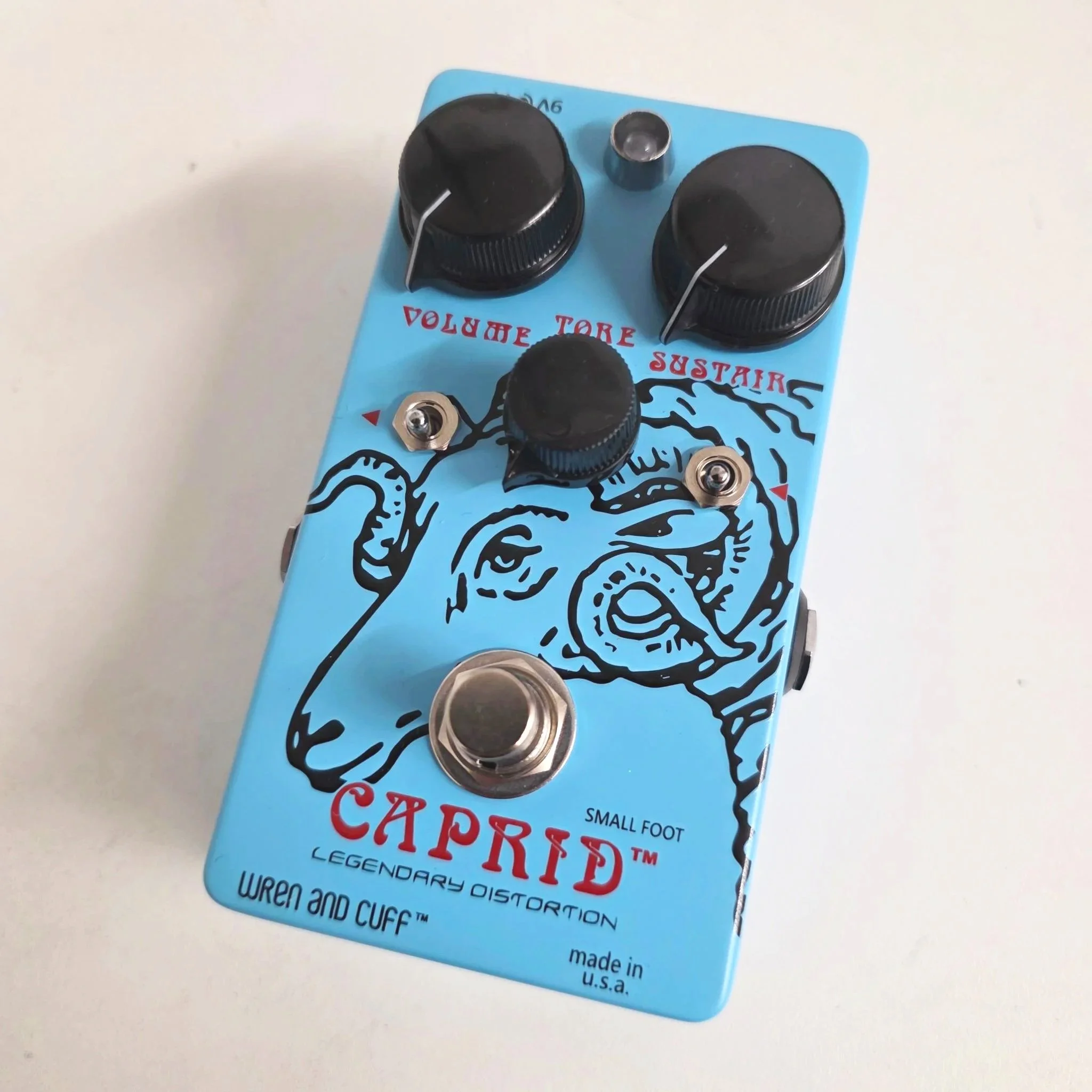 capsf_skyblue_creamy%2C+mf_1.jpg