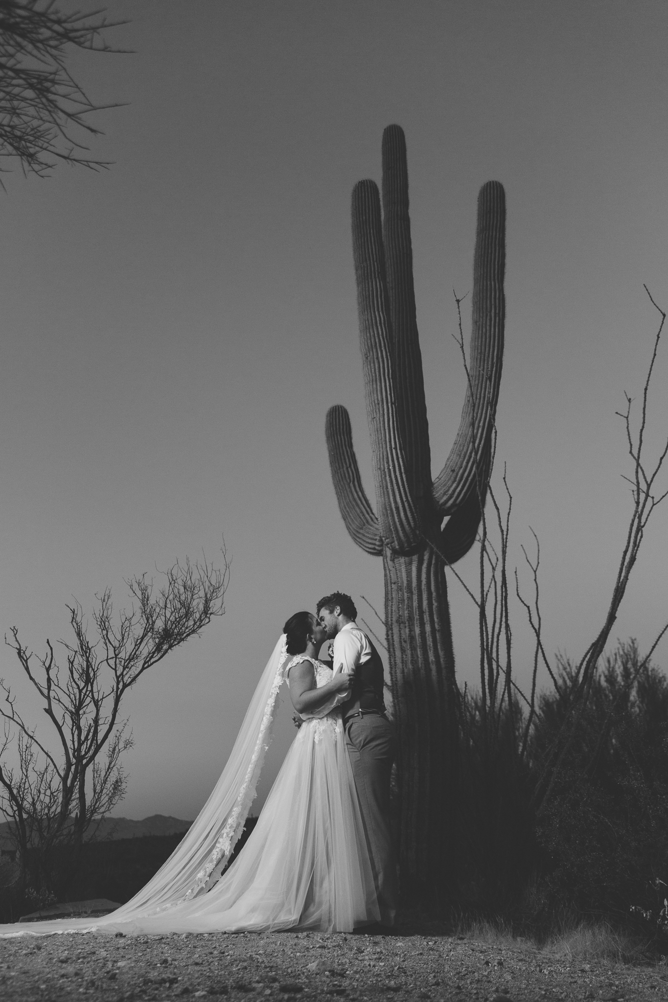  Tucson Arizona Wedding Photography 