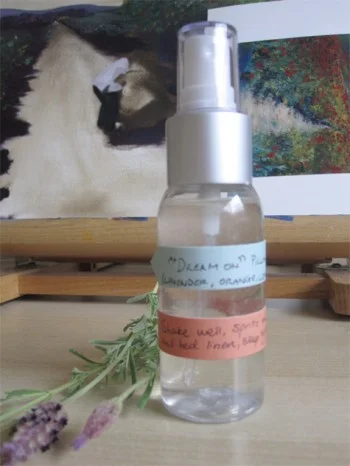 Dream on! An 'essential' guide for a good sleep