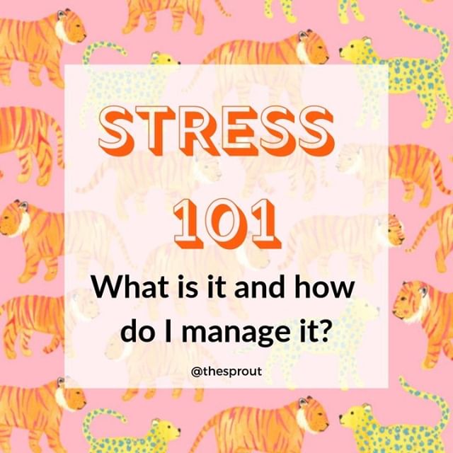 🐯STRESSSSSSS🐯⁠
⁠
Buzzword alert 🚨 wondering WTF stress even is and how it affects your body? Wondering how to manage it to make it a little less disruptive to your day to day life? ⁠
⁠
I've got a free downloadable on my website to teach you alllll