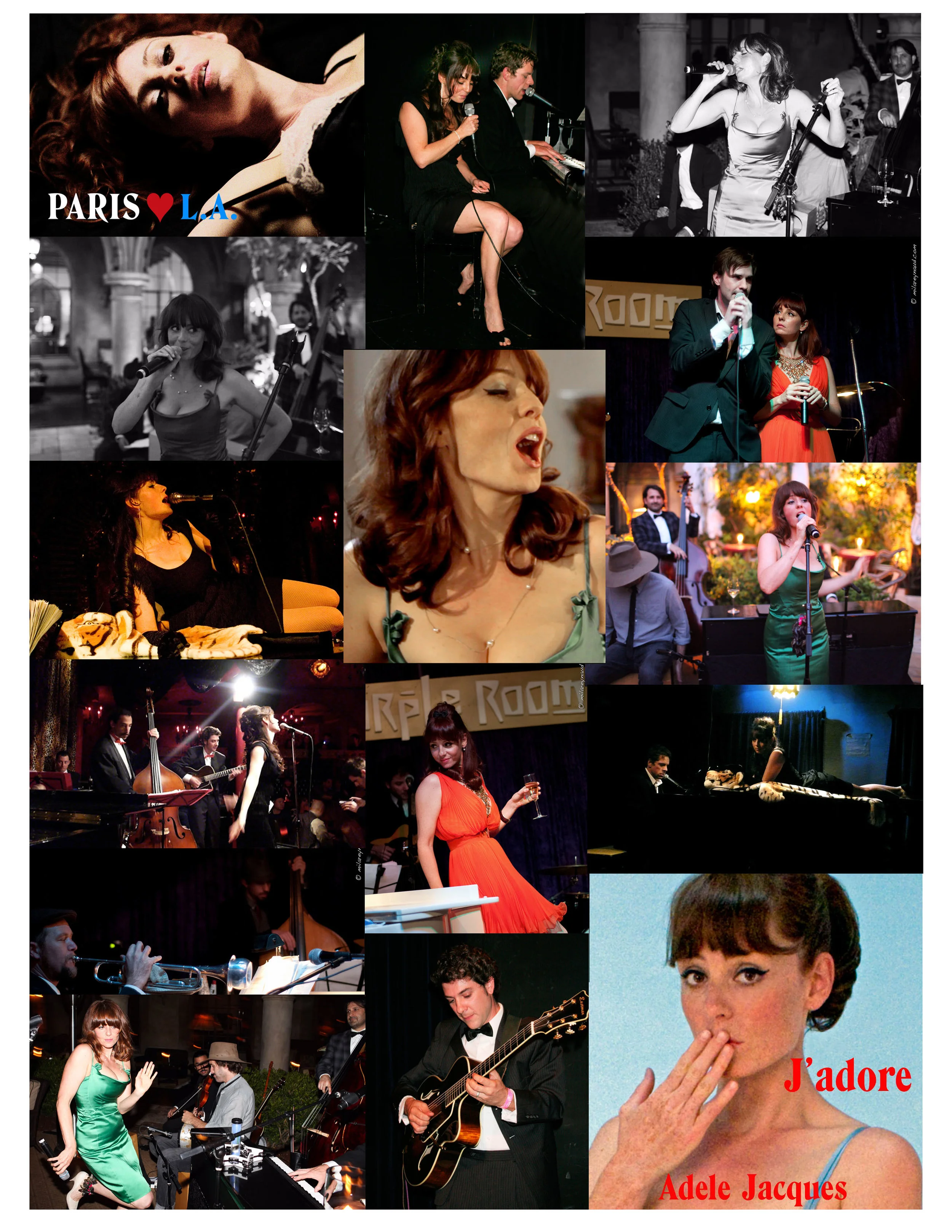 PLLA_concerts_montage.jpg