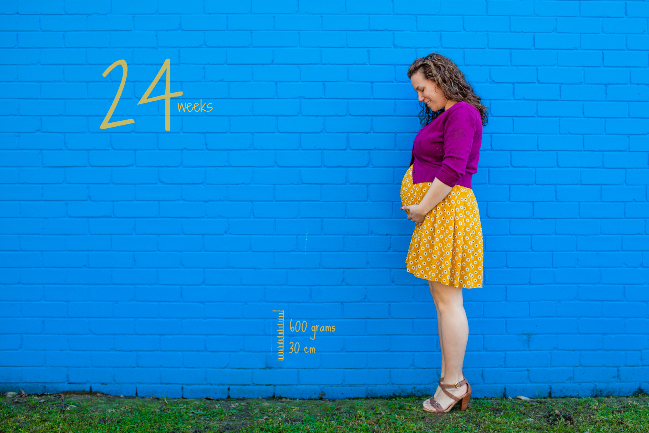 24wks_BOOK.jpg