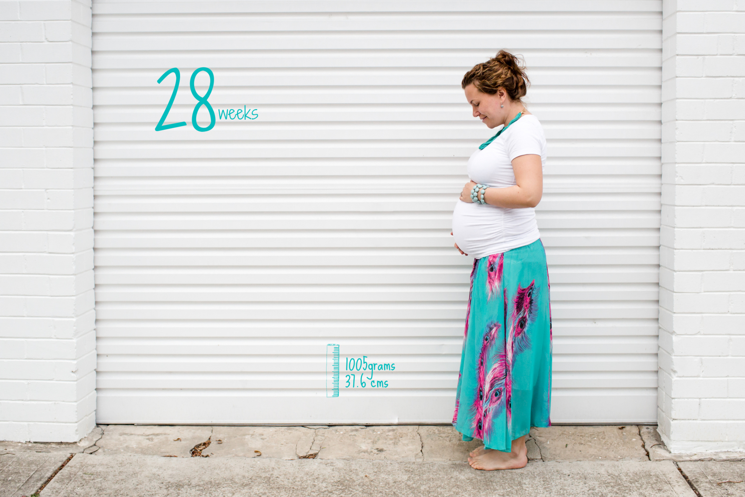 28wks_BOOK.jpg