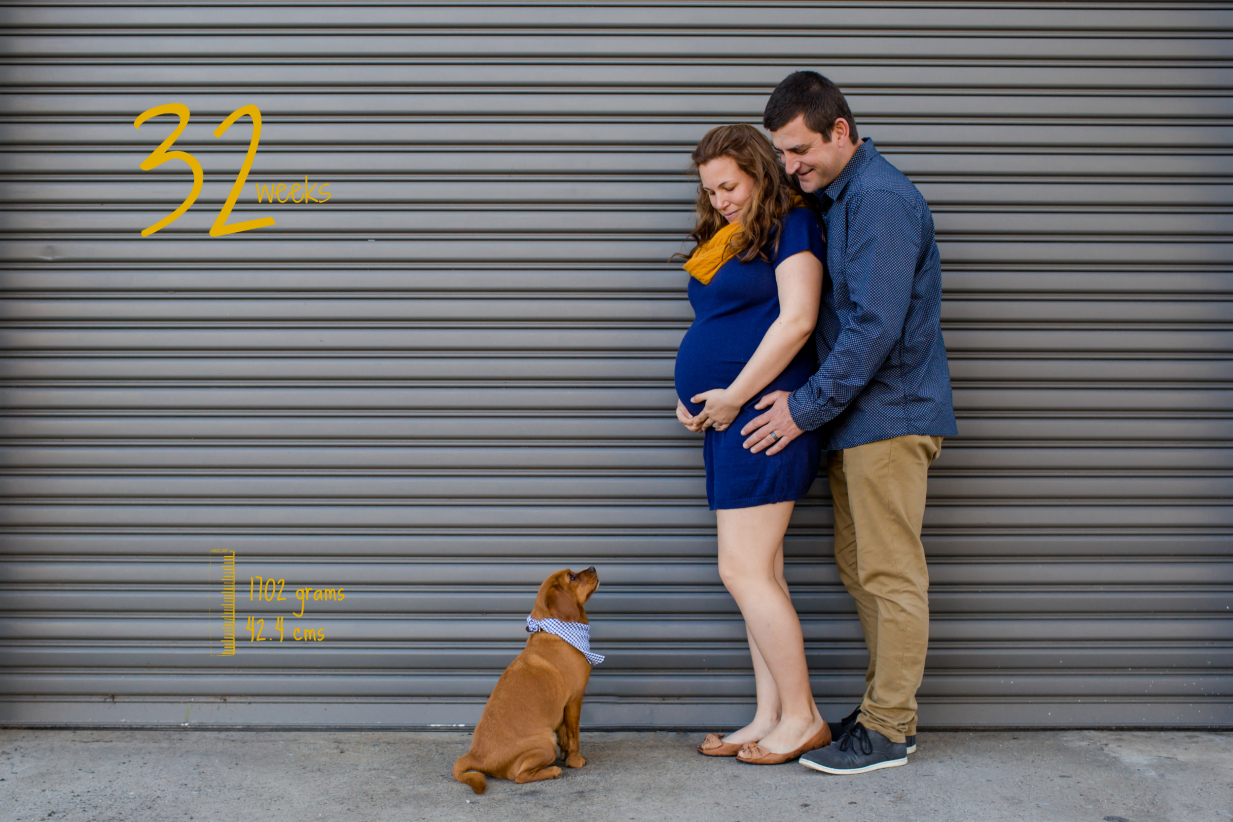 32wks_BOOK.jpg