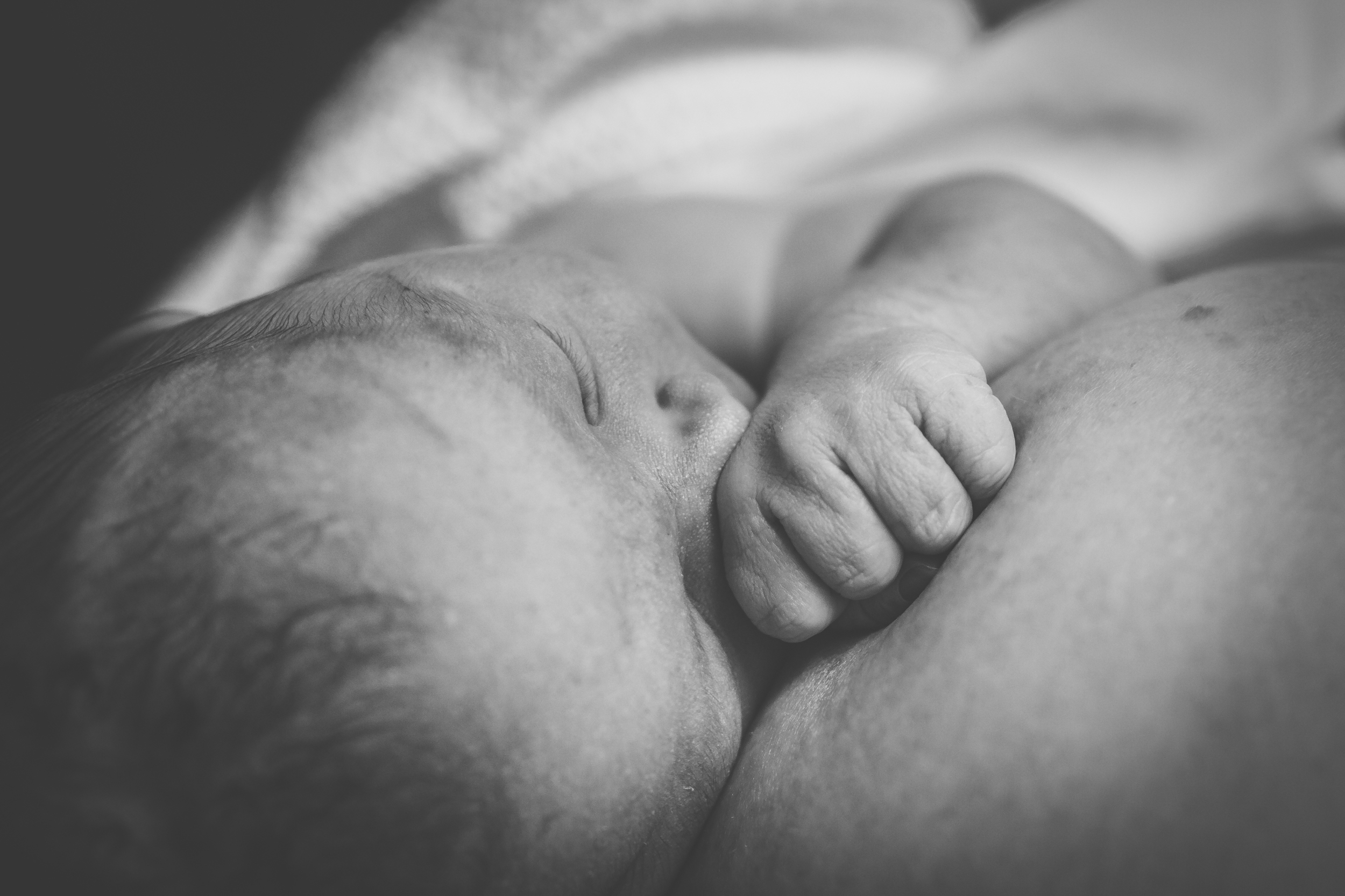 WILLIAM | Birth Day