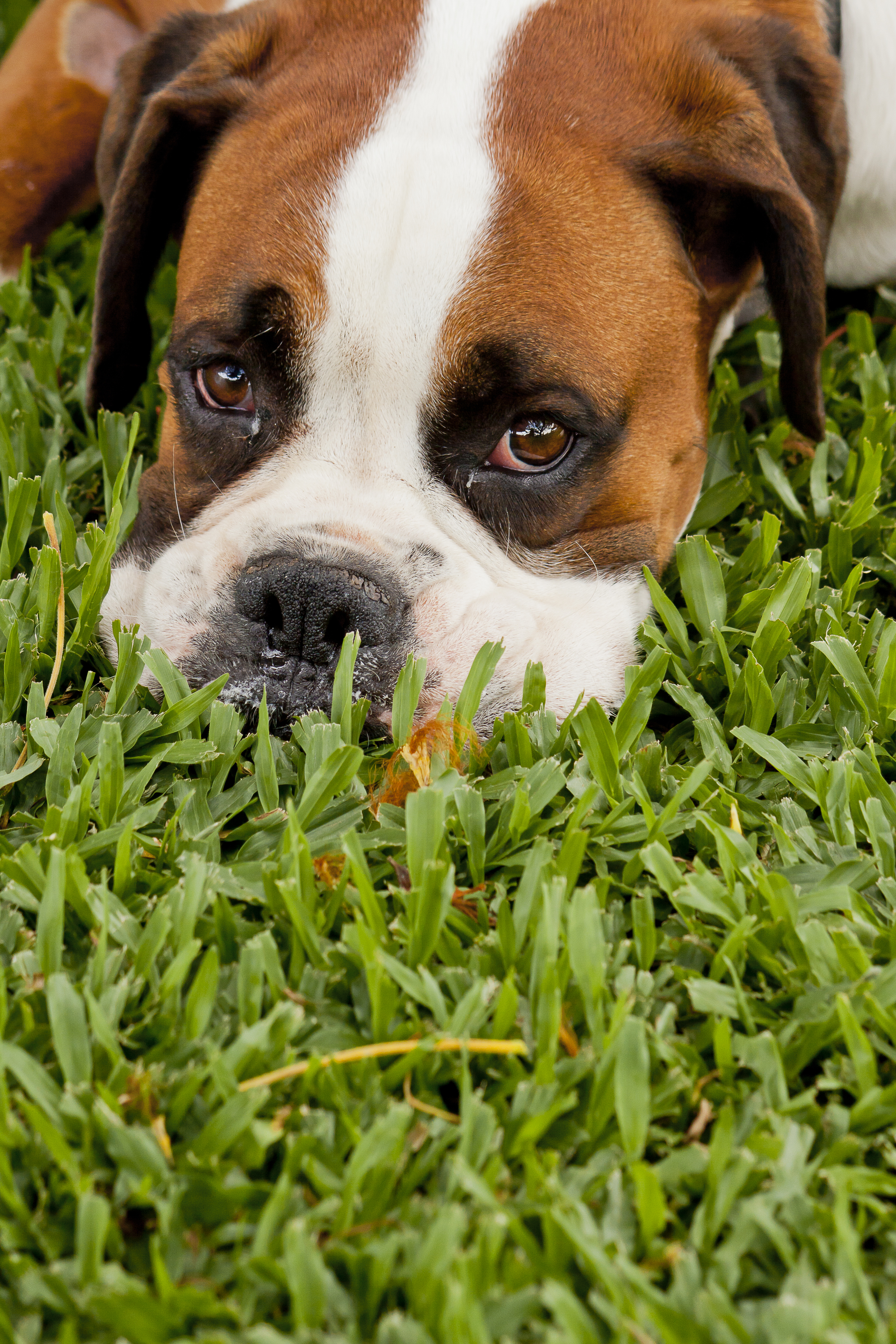 NthQLDWkend_Nov2011_1.jpg