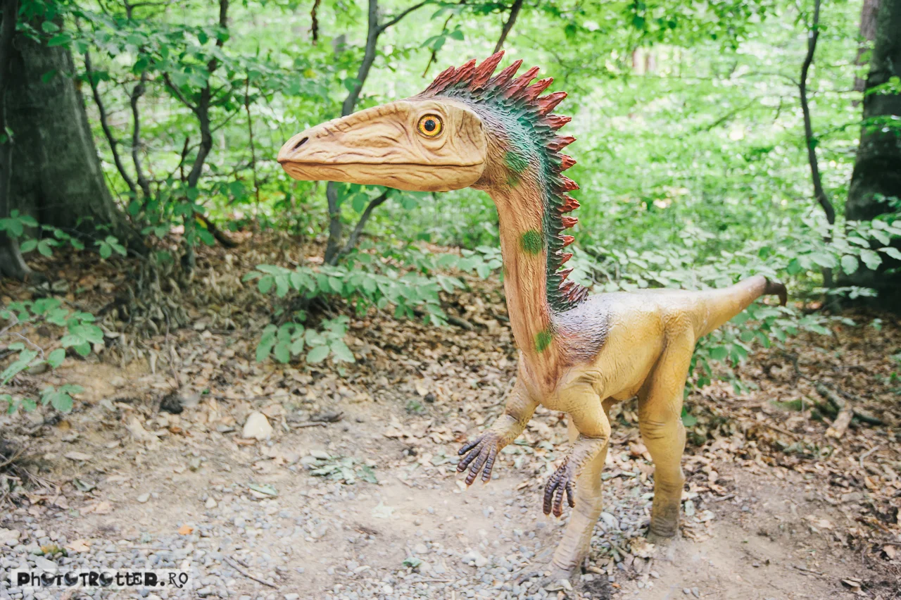 dino-06.jpg