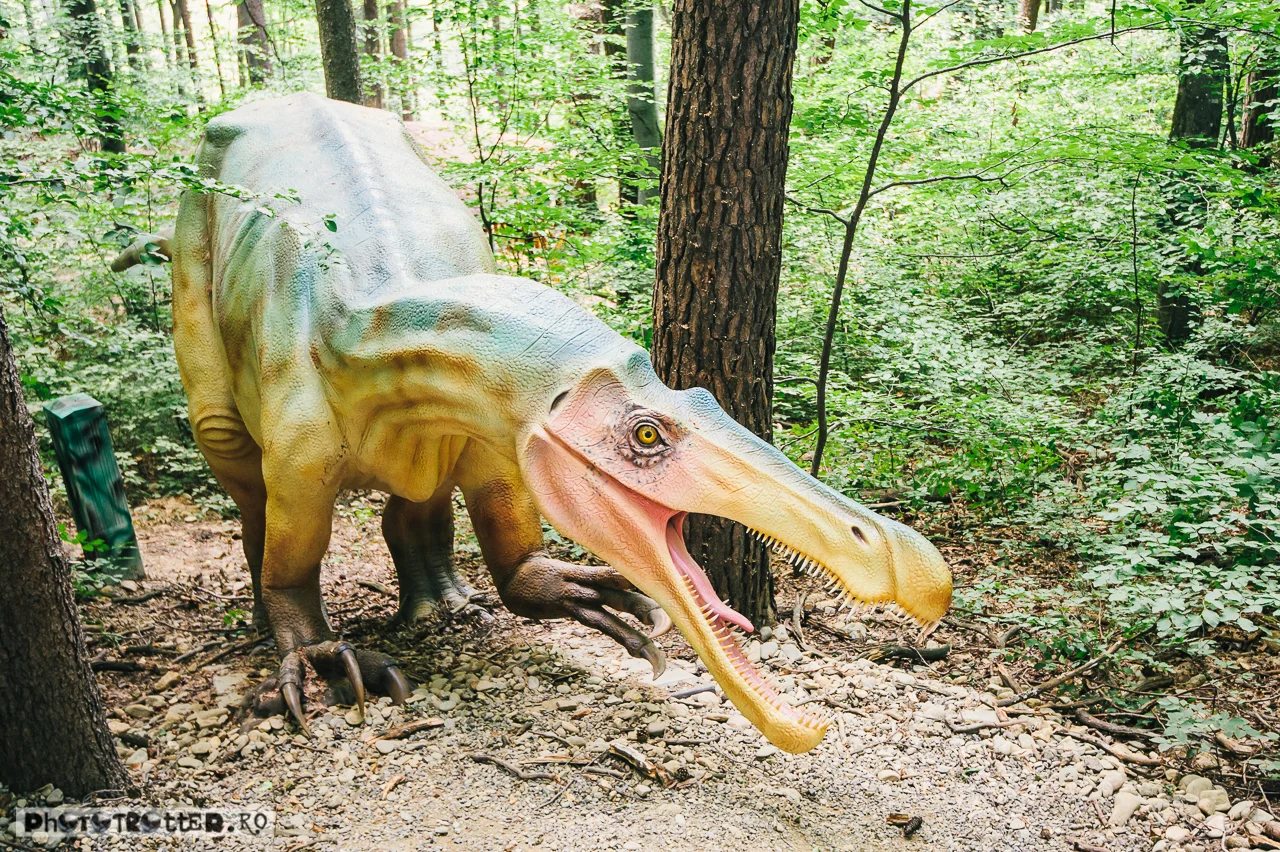 dino-17.jpg