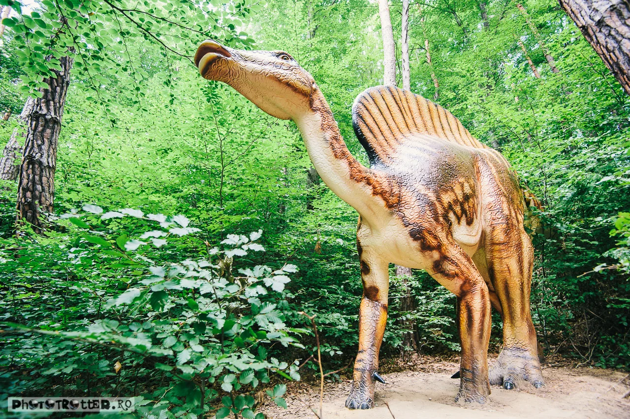 dino-18.jpg