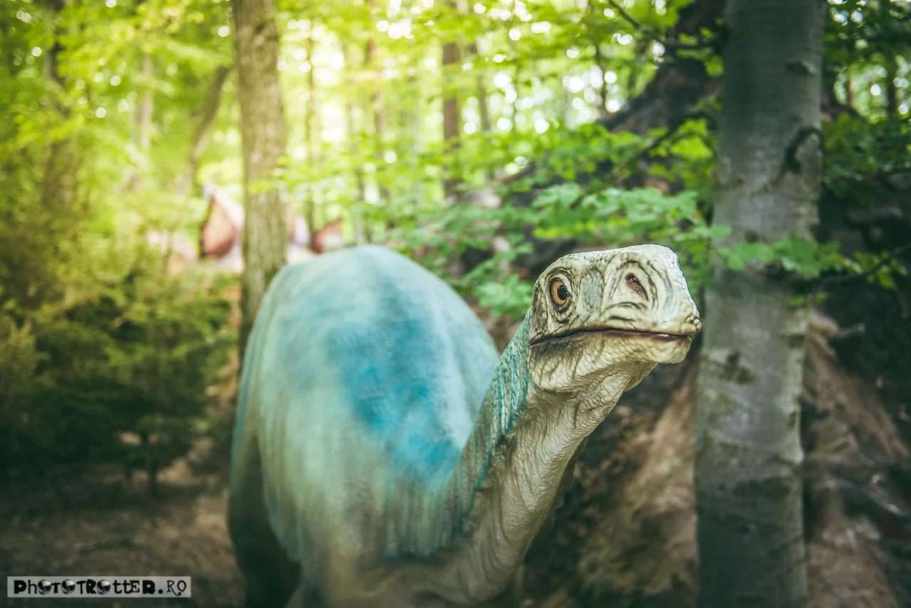 dinoparc-7.jpg