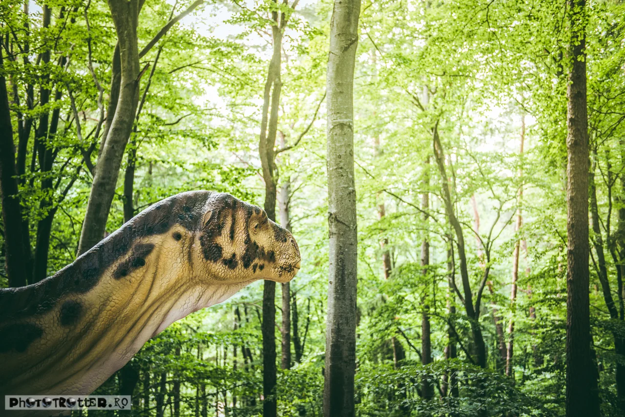 dinoparc-13.jpg