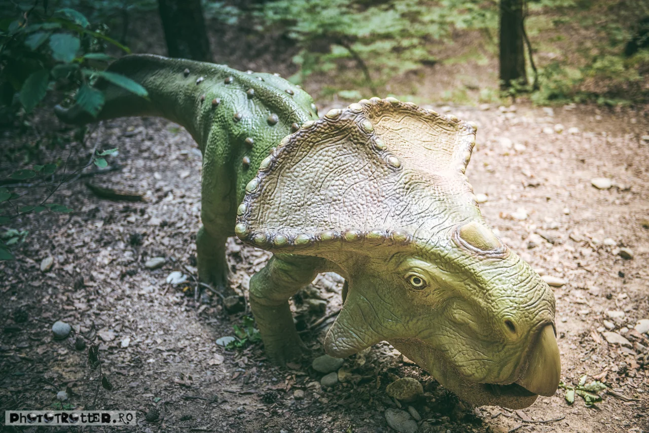 dinoparc-16.jpg