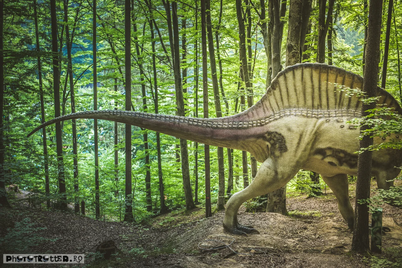 dinoparc-17.jpg