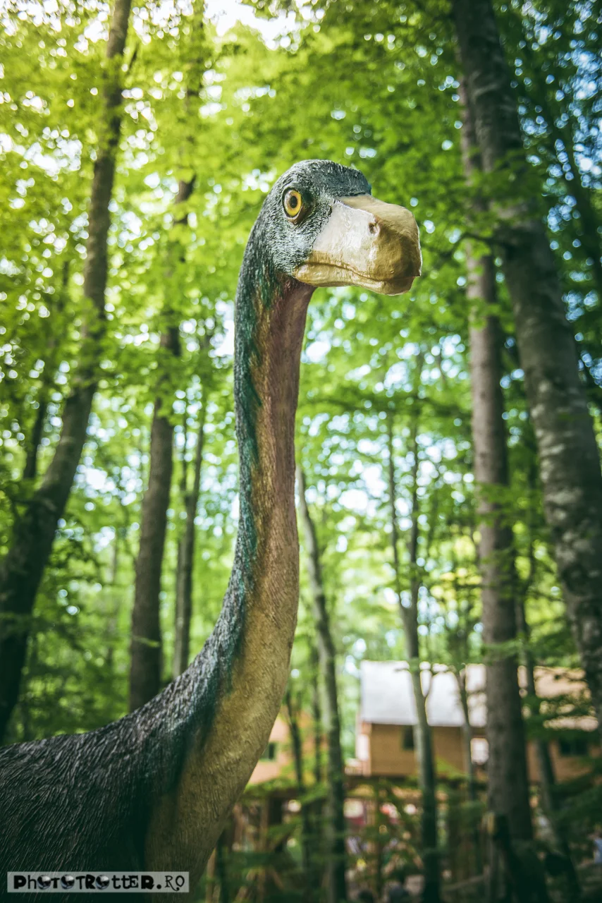 dinoparc-21.jpg