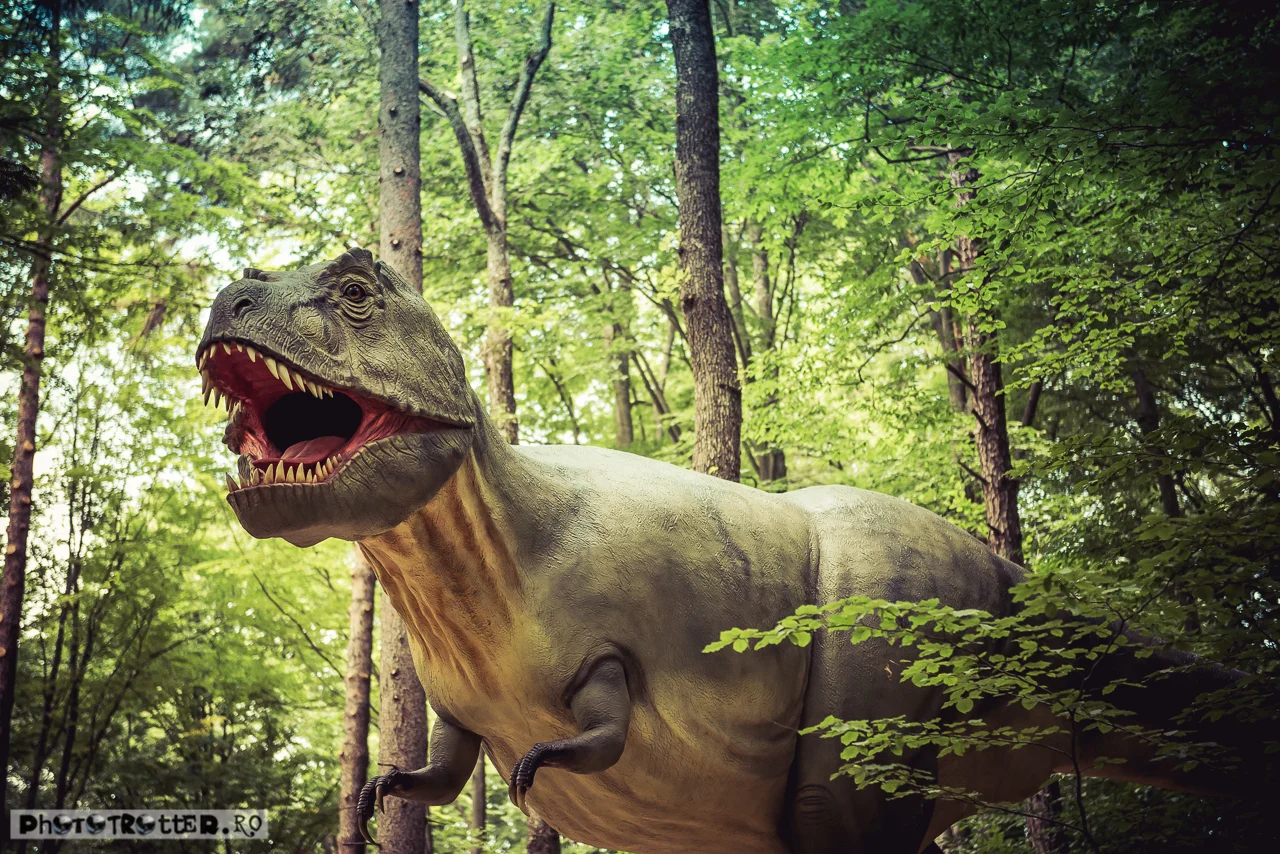 dinoparc-23.jpg