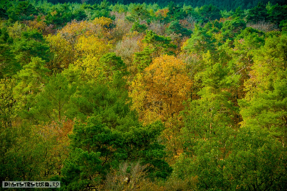 DSC_7476.jpg
