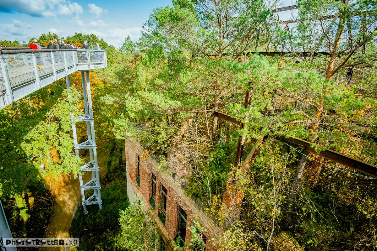 DSC_7496.jpg